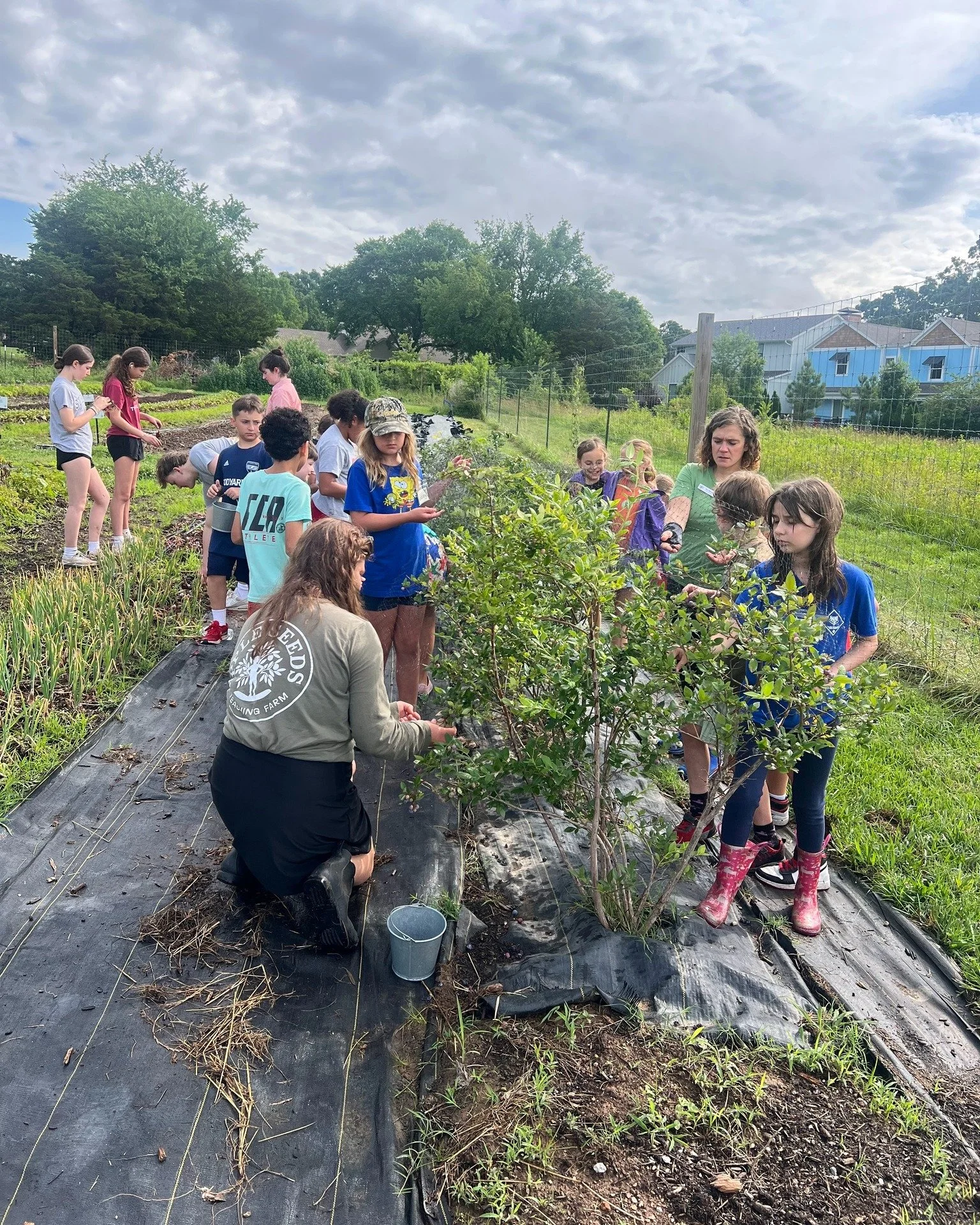 🌱🍓 Join Us At Apple Seeds Summer Camp! 🍳🌽

Give your child a week of hands-on fun where fresh food, cooking, and learning come together. Campers will explore our farm, harvest ingredients straight from the soil, build confidence in the kitchen, a