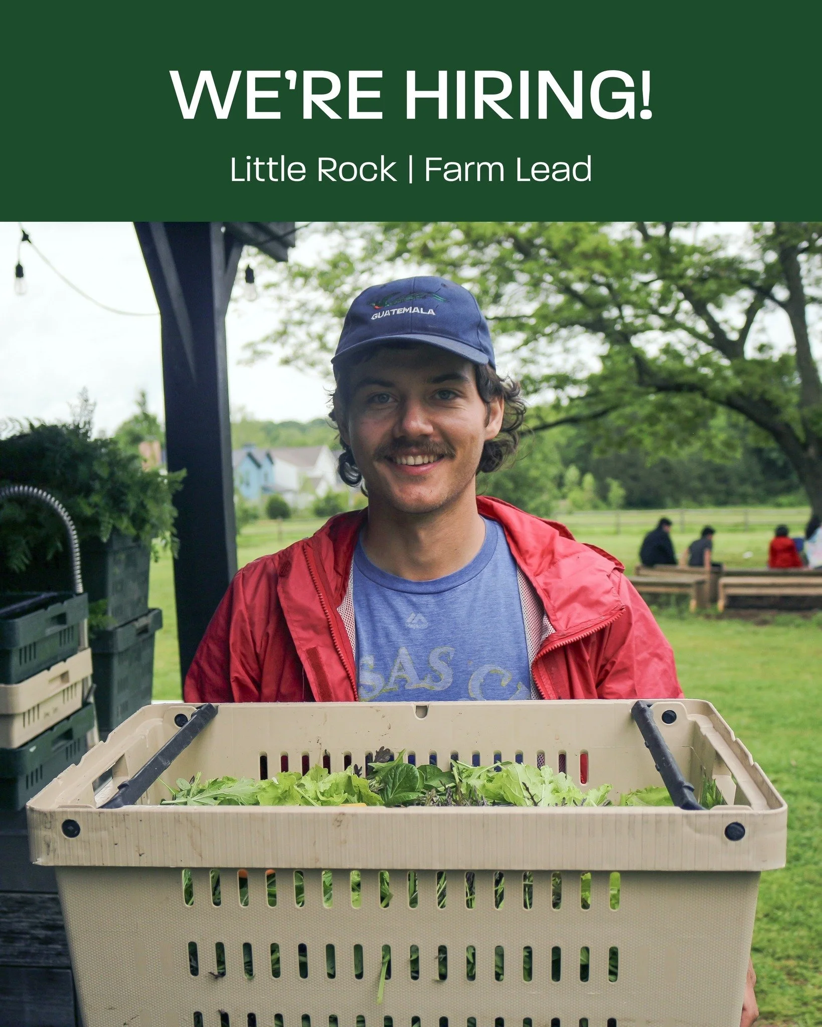 🌱 We&rsquo;re Hiring a Farm Lead in Little Rock, AR! 🌱

Do you love working outdoors, growing fresh produce, and inspiring others to embrace healthy food? Join Apple Seeds as our Farm Lead and help us manage and develop our 2-acre teaching farm in 