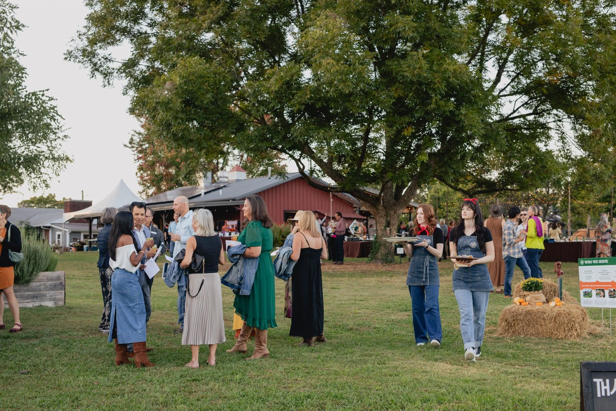 Help us bring our events to life at Apple Seeds 💚✨

We&rsquo;re looking for friendly, reliable volunteers to support upcoming events, from setup and guest check-in to assisting behind the scenes. It&rsquo;s a fun, fast-paced way to get involved, mee