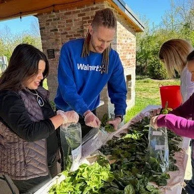 🚨 Attention Walmart and Sam&rsquo;s Club Associates! 🚨

Now through July 4, the Walmart Spark Good program is DOUBLING eligible donations made to nonprofits! 

Please support Apple Seeds with your donation through OneWalmart. For a limited time, ev