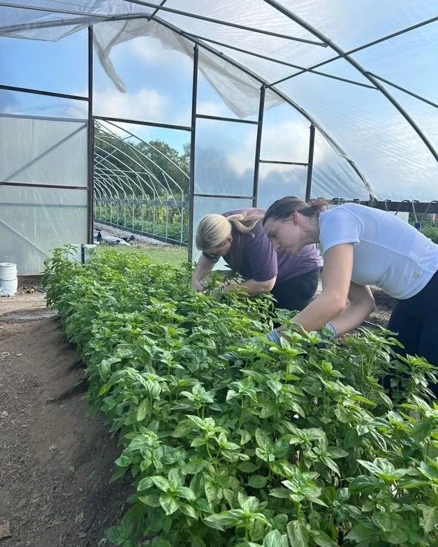 🌱 Evening Garden Volunteer Shifts! 🌱

Calling all after-work gardeners! 🌻 We only have a couple more weeks of good evening sunlight, so we&rsquo;re opening up the garden for some special evening volunteer shifts!

📅 Wednesdays, October 21 &amp; 2