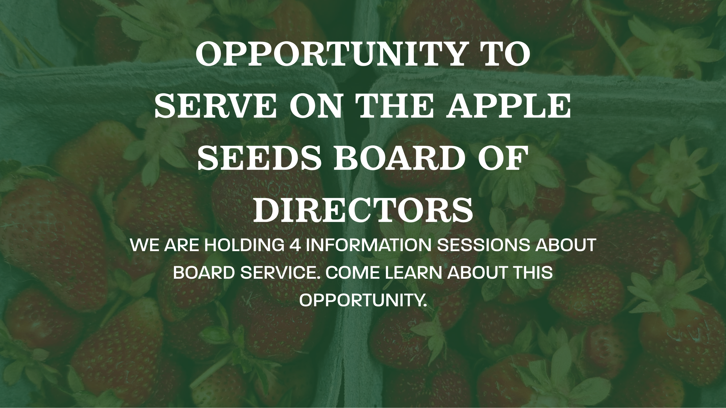 Board of Directors Thumbnail.png