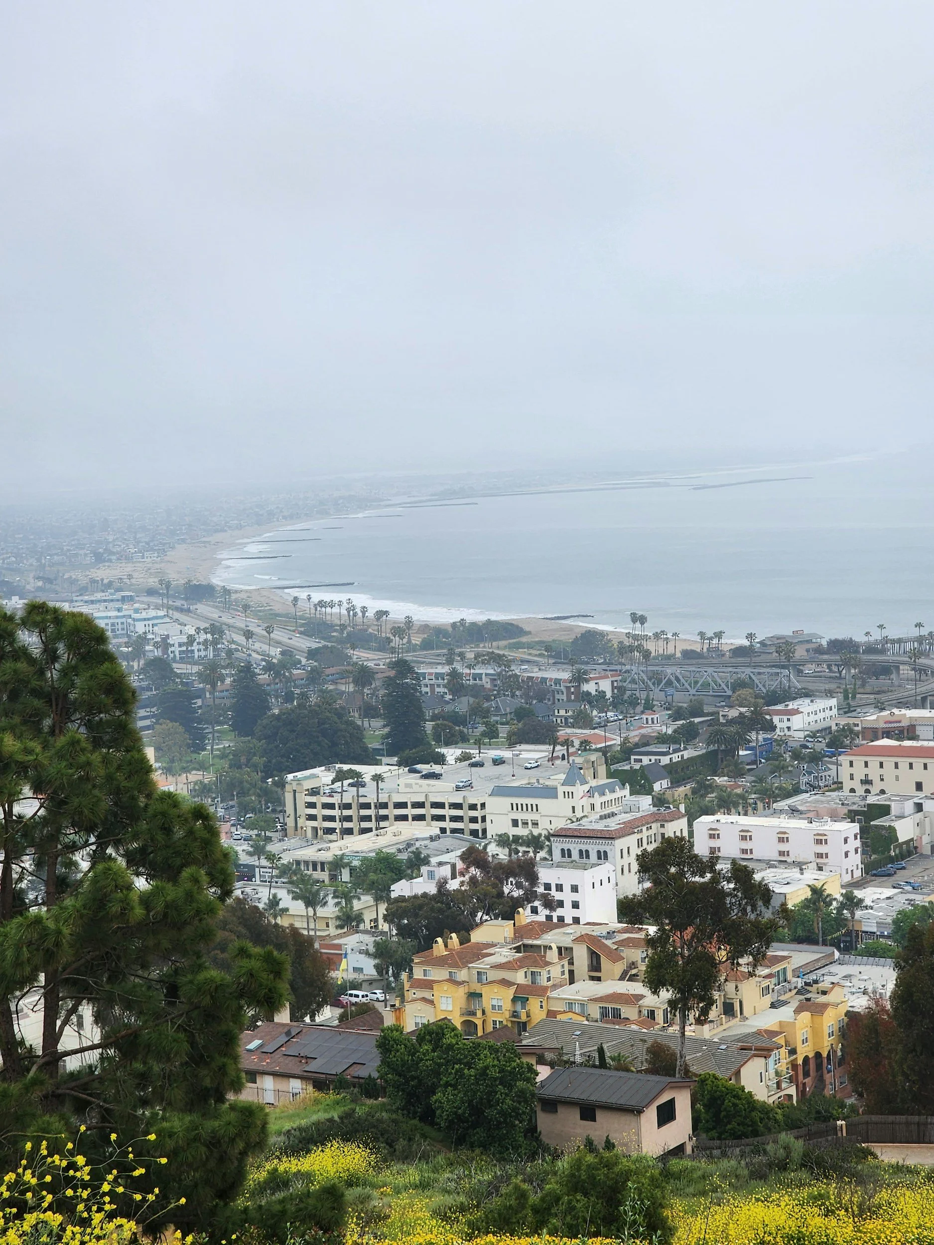 A cityscape seen from a hilltop on a cloudy day. The view includes residential buildings, trees, and a coastline with the ocean in the background, partially obscured by fog or haze.