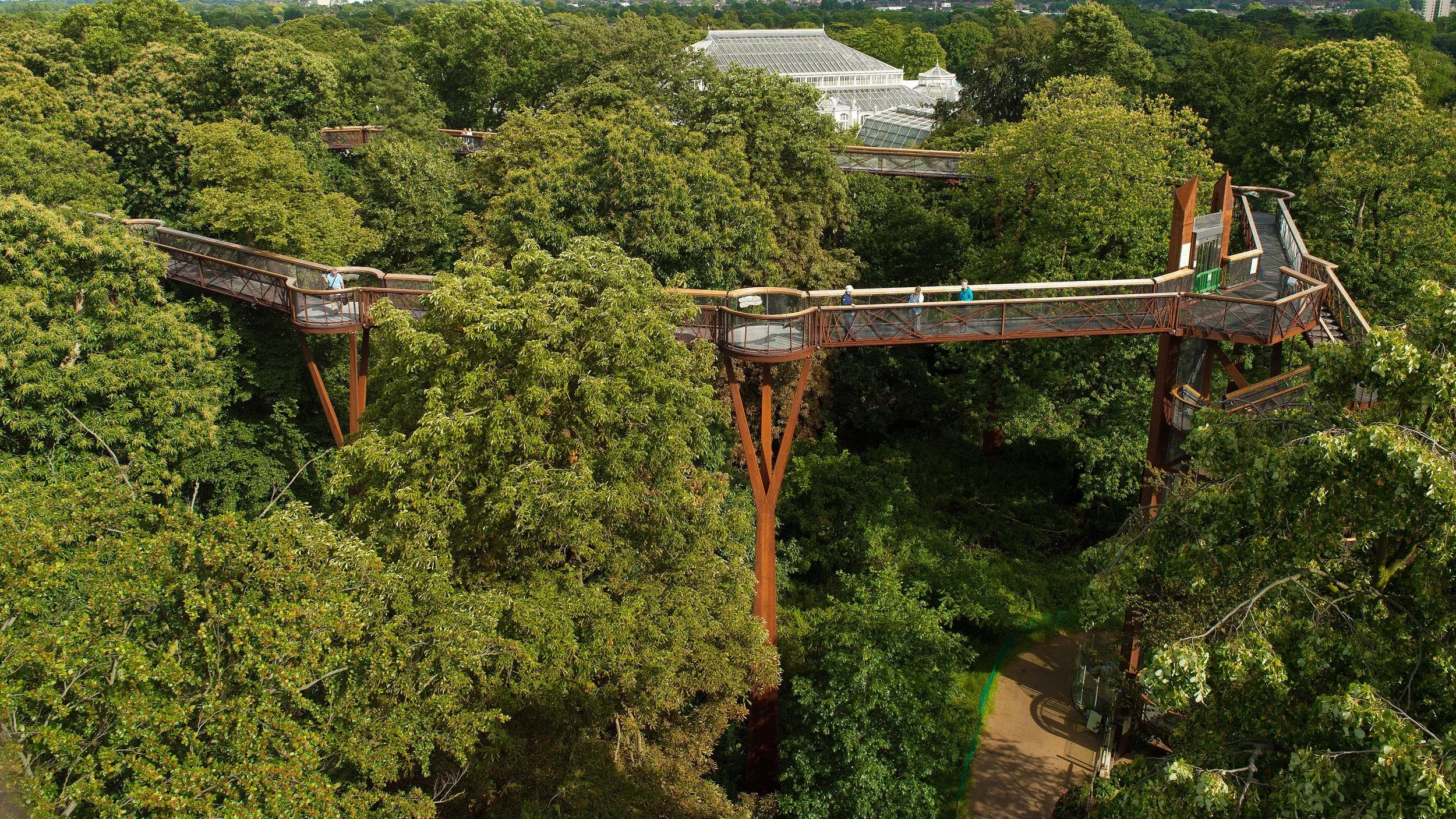 treetopwalkway_0.jpg