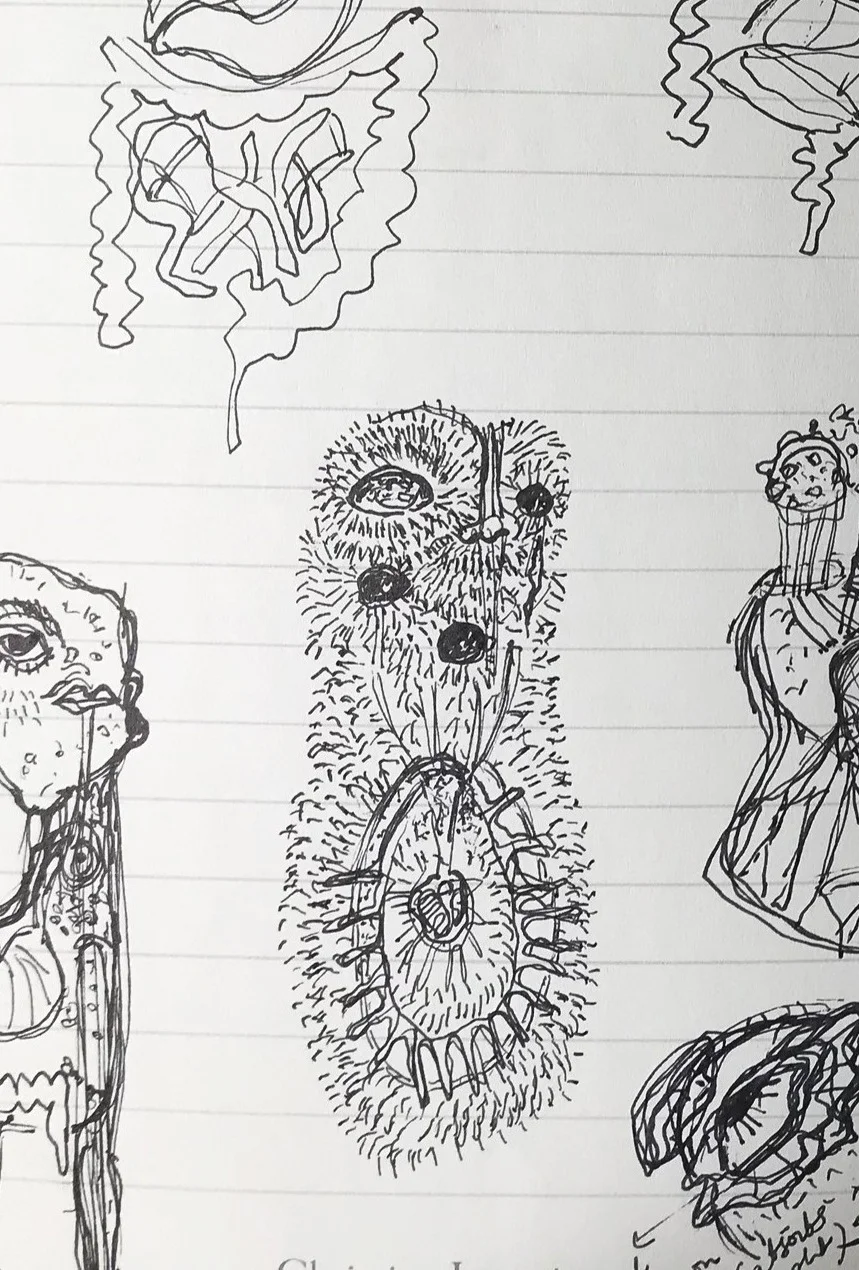 Sketches to look at alternate ways of digestion 