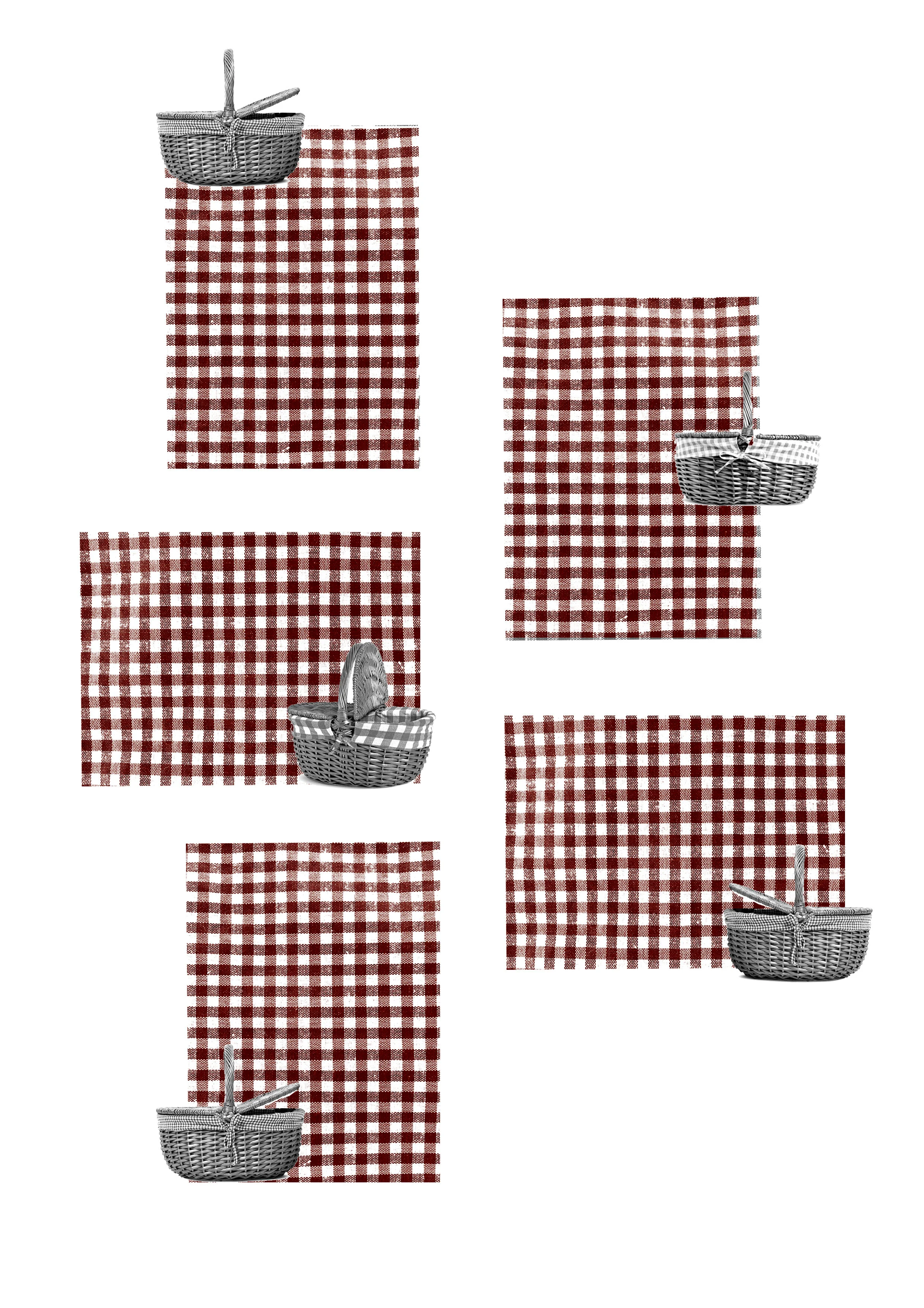 Picnic Sensorial. C.E.S.T.O