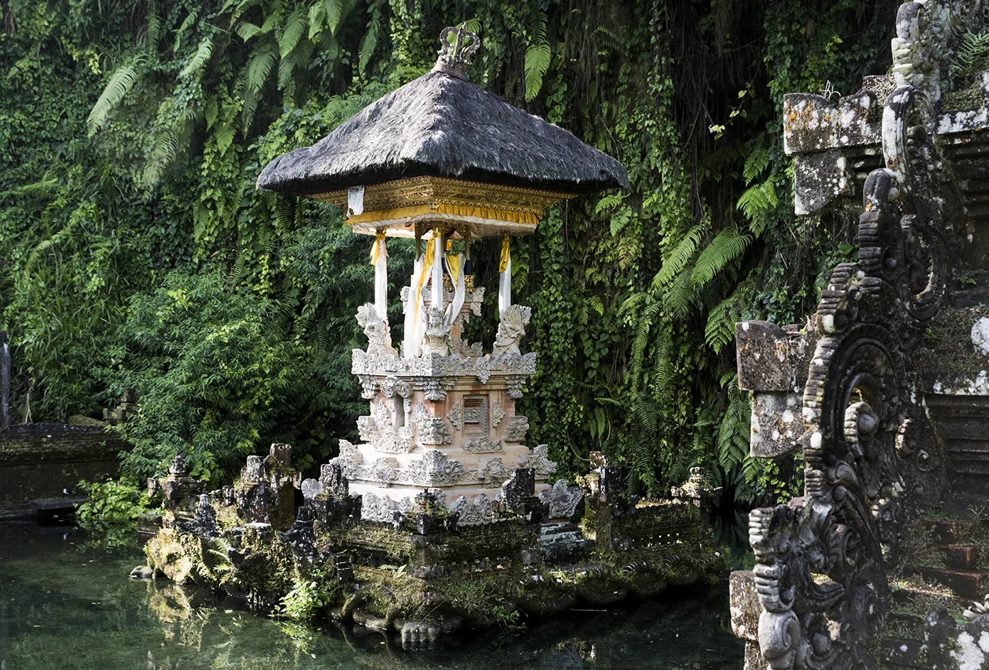 An Adventure in Bali