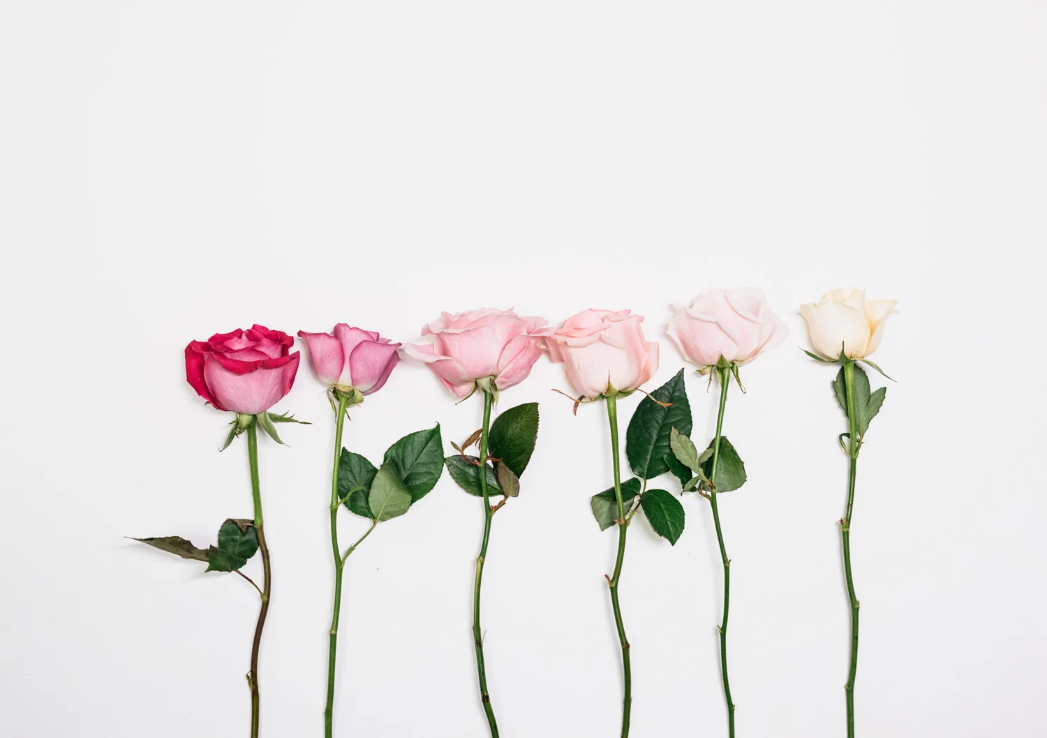 The 2018 Valentine's Day Gift Guide