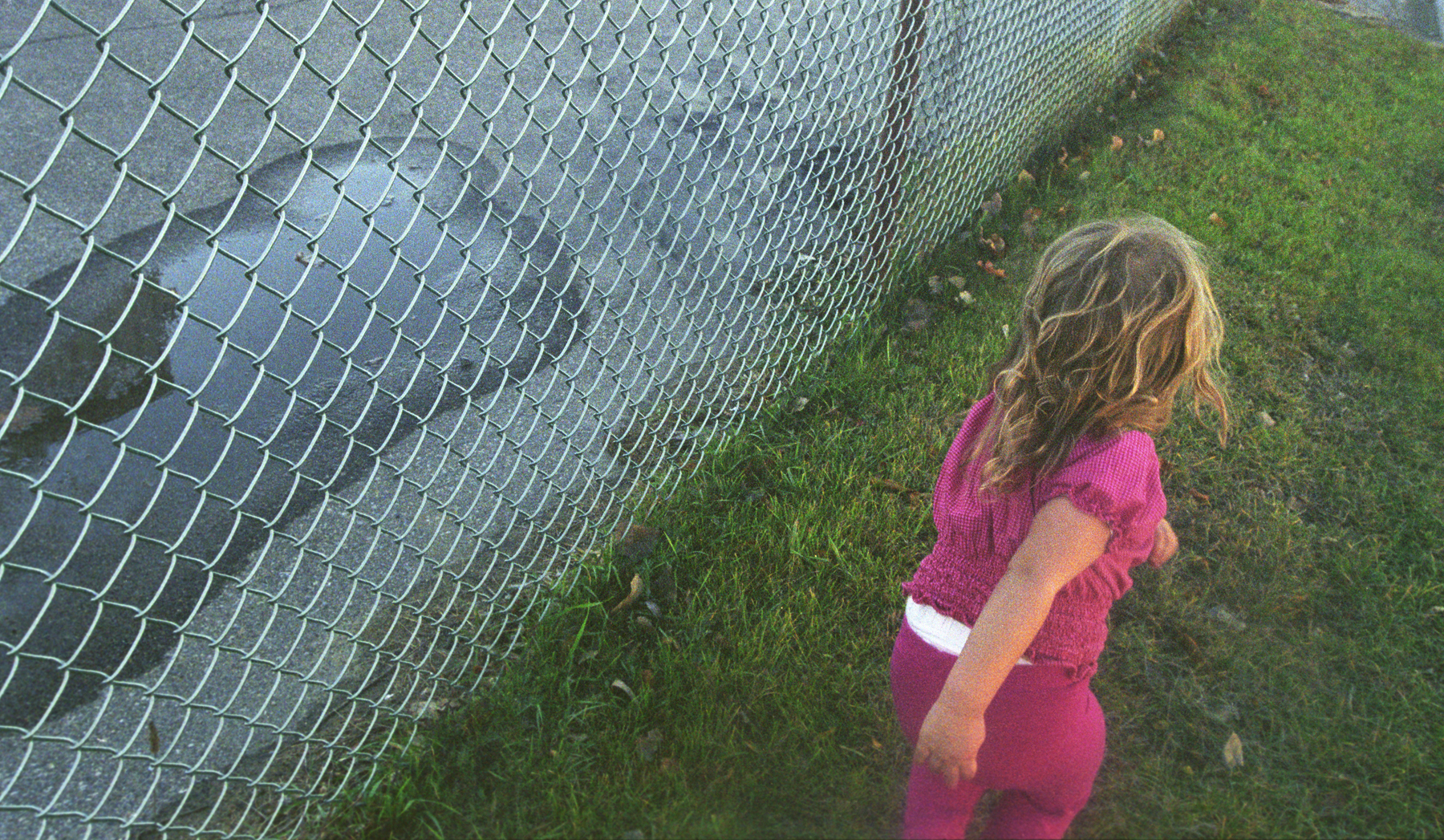 Anna walking fencecropped bottom edge_blurb2.jpg