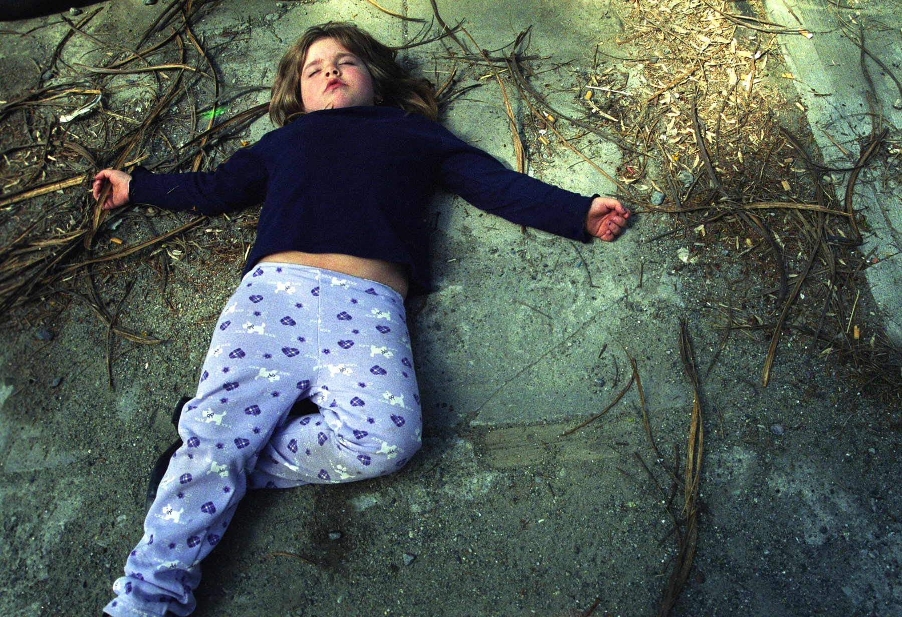 Anna laying on ground_blurb2.jpg