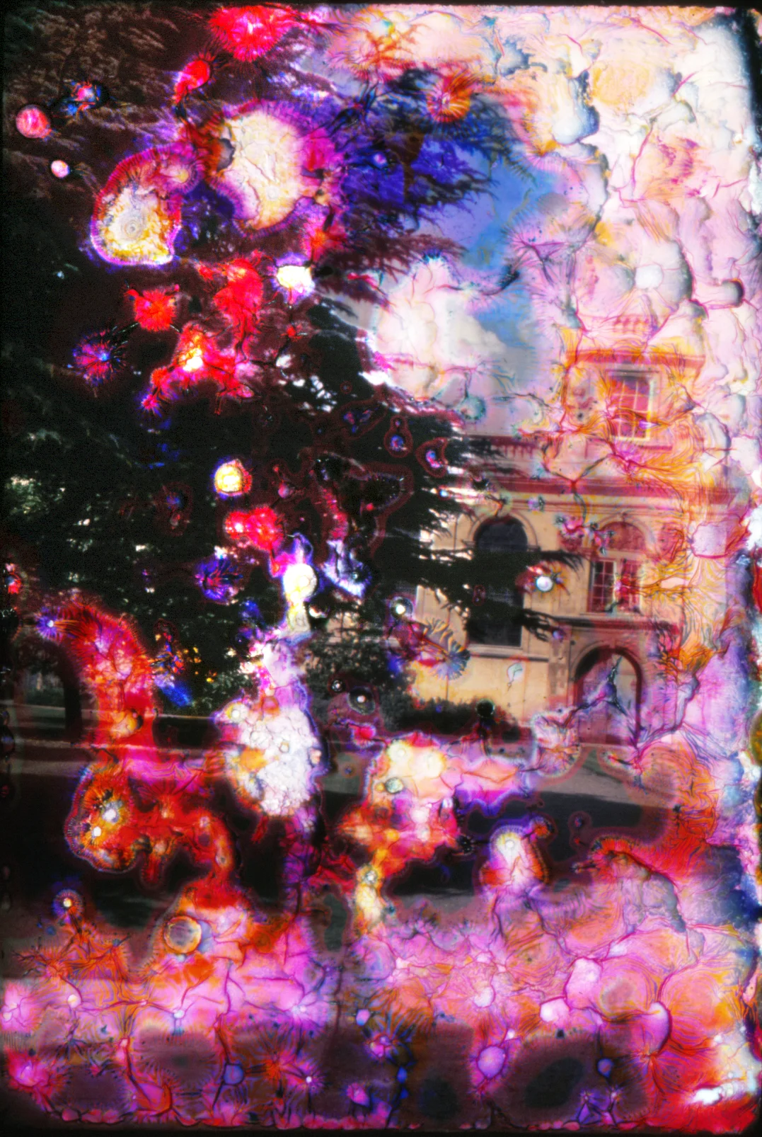 slide, building near tree.jpg