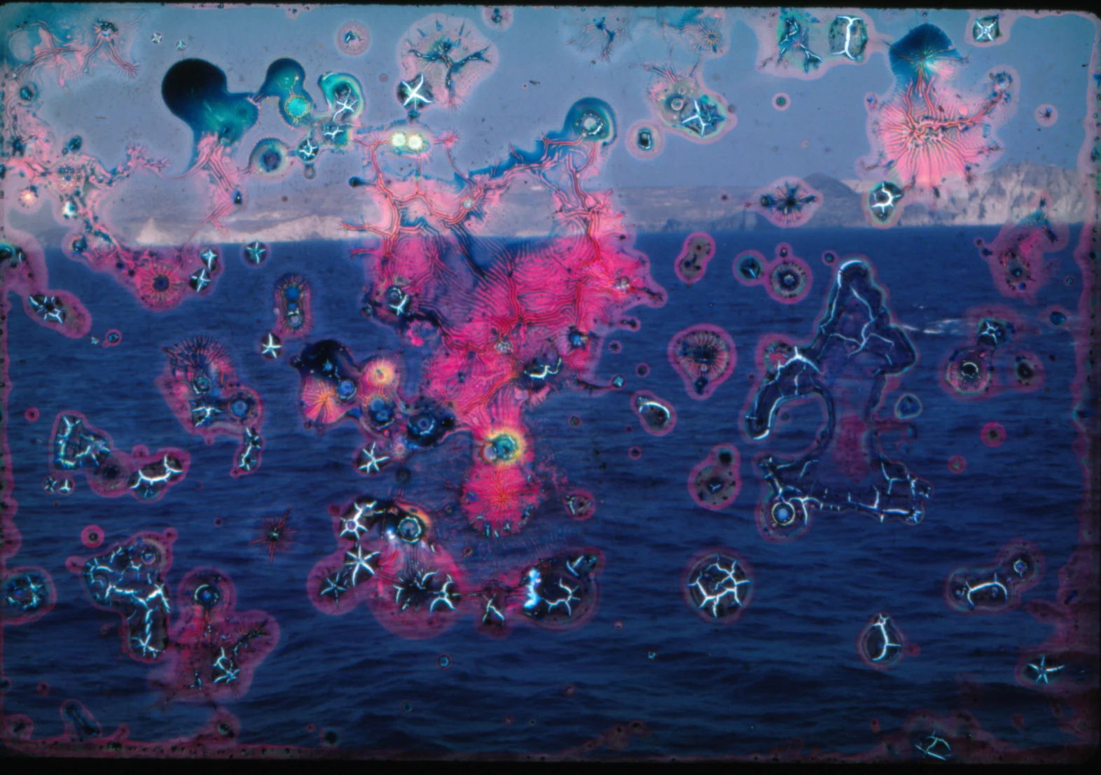 slide, seas spolich pink.jpg