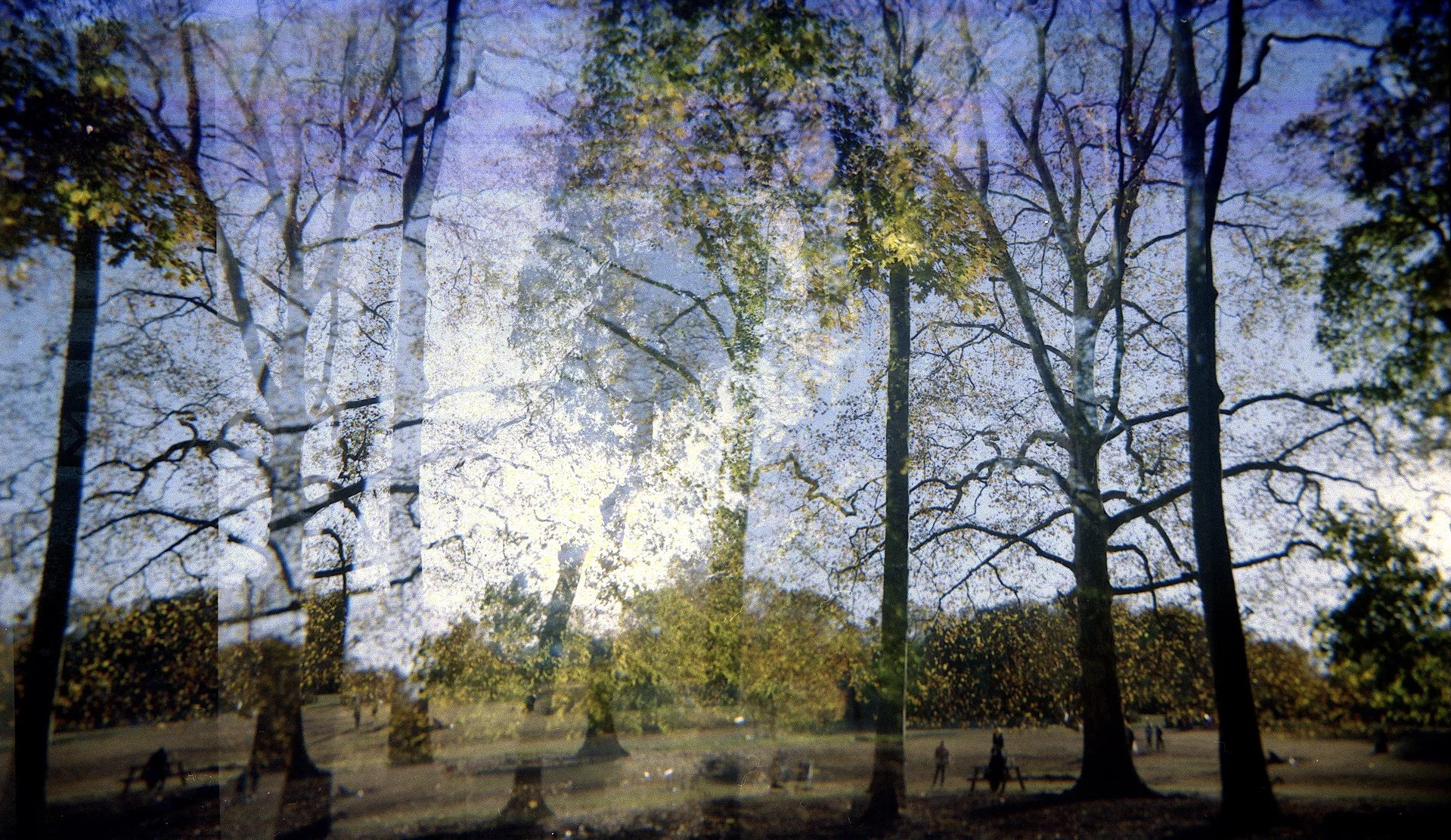 2025-11-25-0036 copy 2.jpg