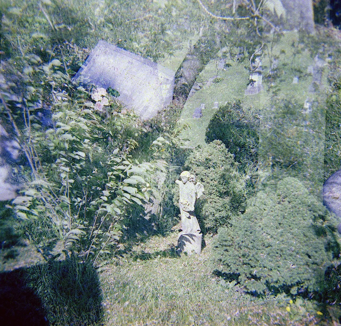 2026-05-18-0014 copy 2.jpg
