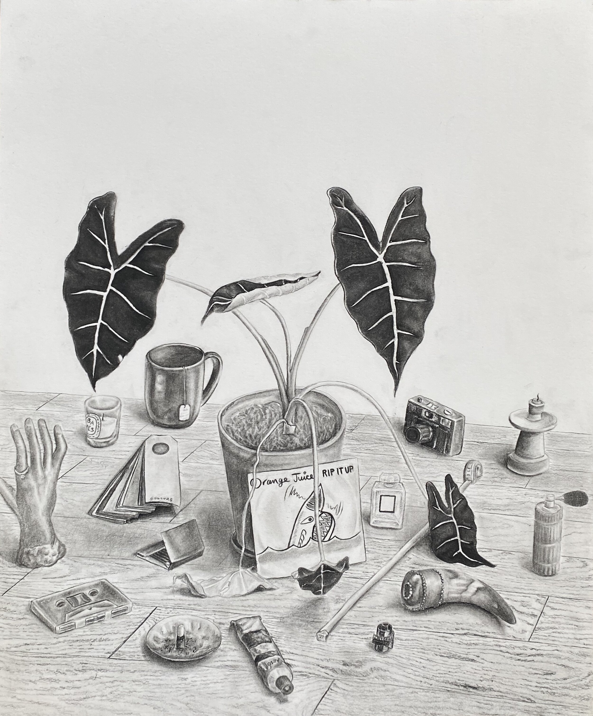 Daniel Herrera