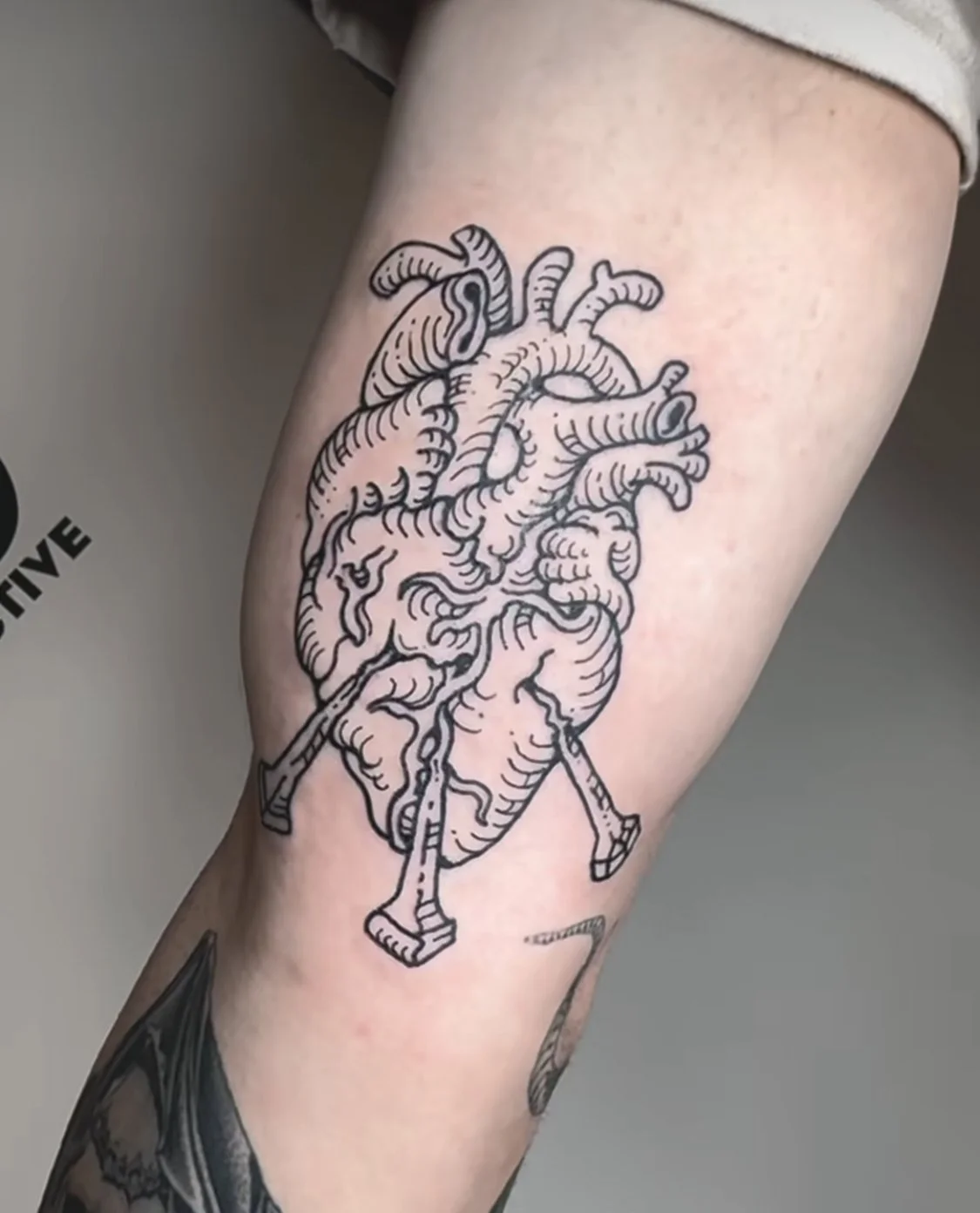 The Stag Feed. — GOLDEN STAG TATTOO