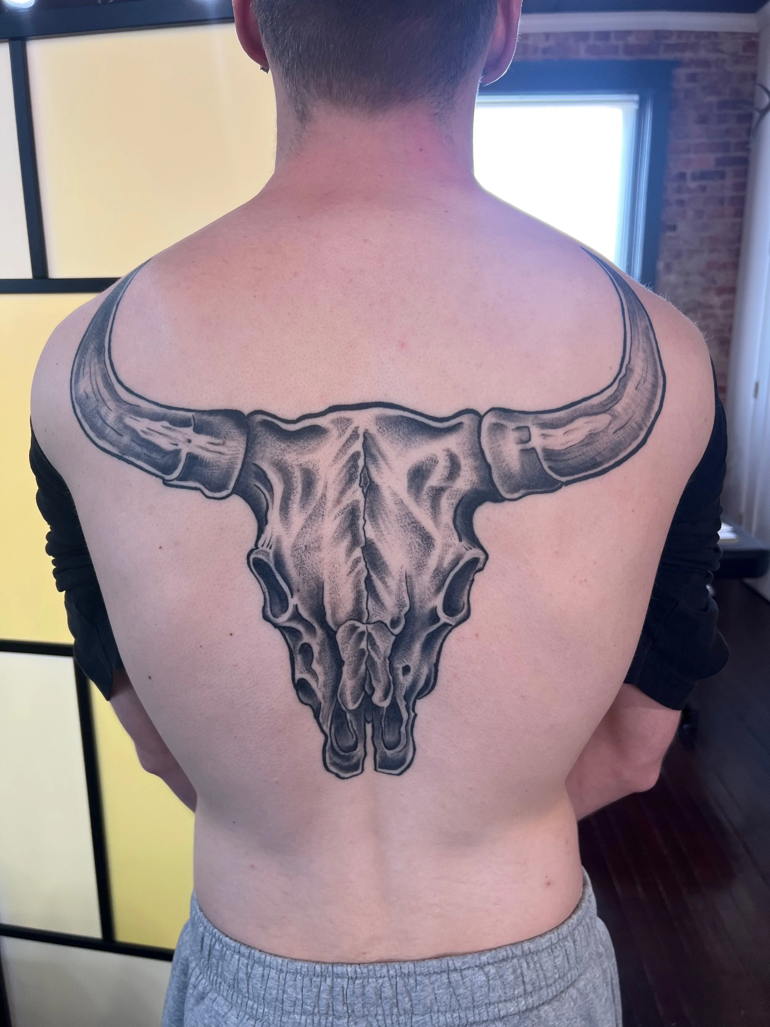 tommy bull skull.jpg