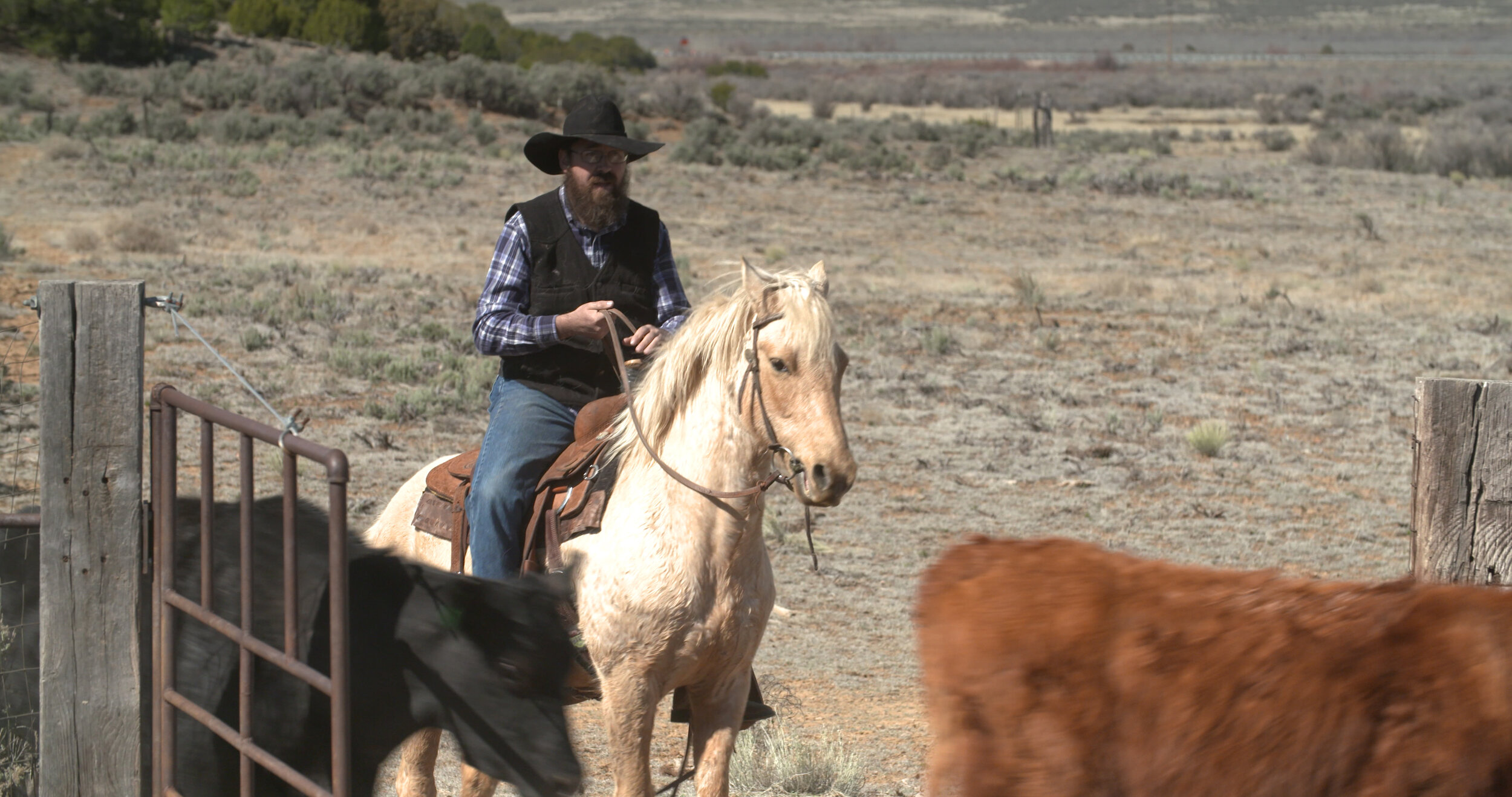 Tim Herrera on Horseback at his ranch.