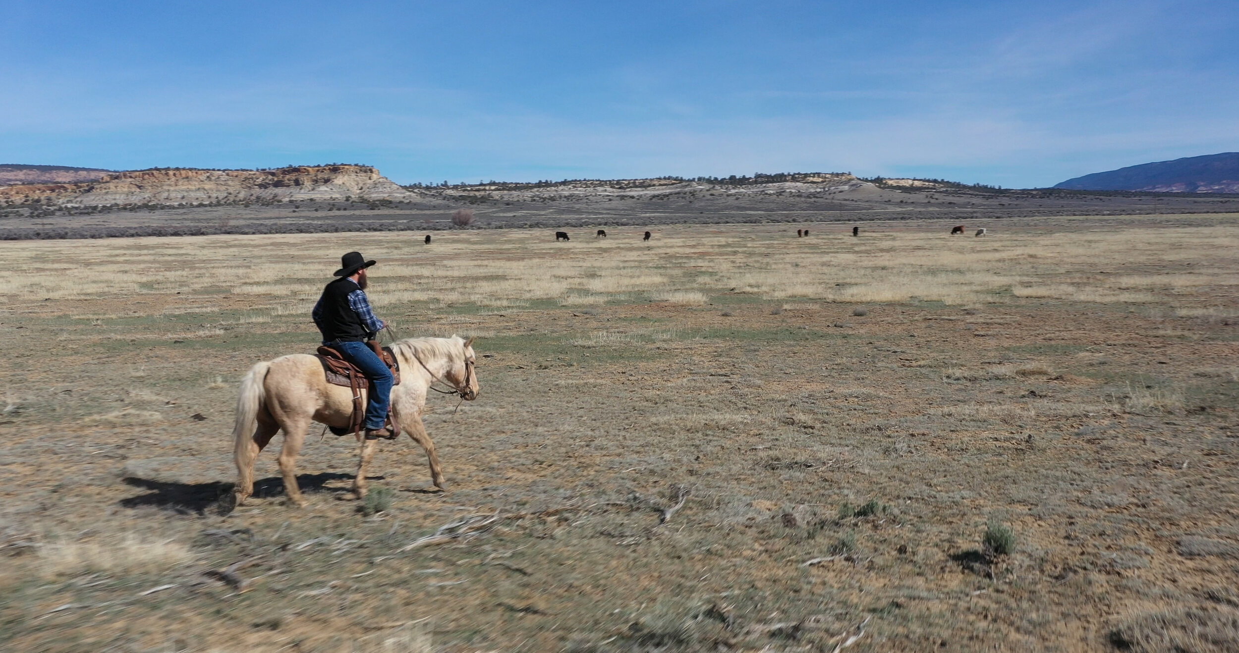 Tim Herrera on horseback in New Mexico landscape.