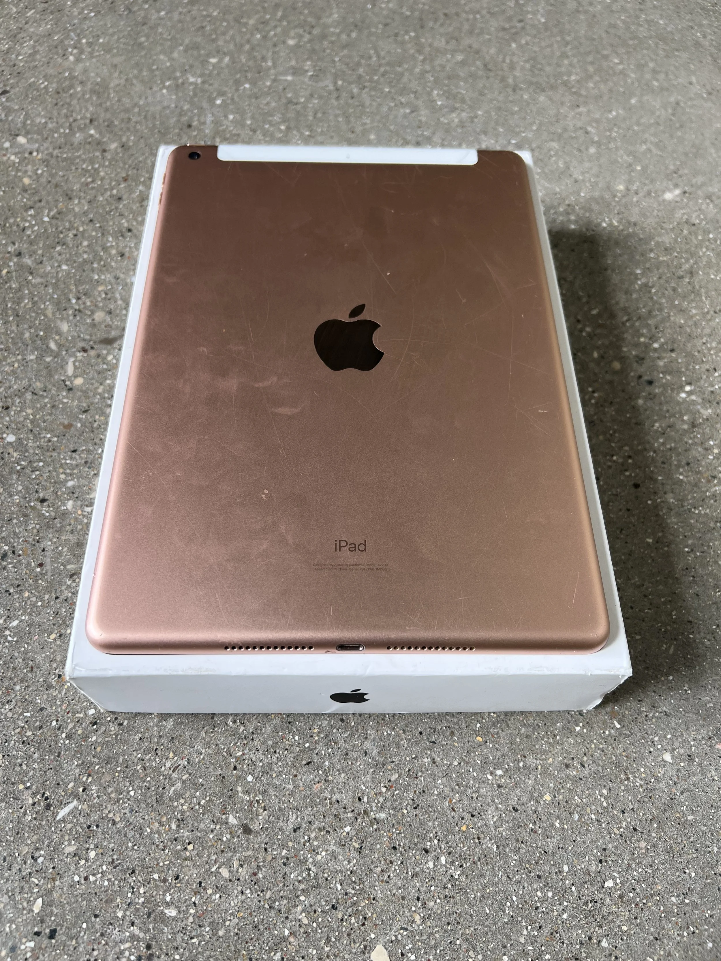 IMG_8261.jpeg