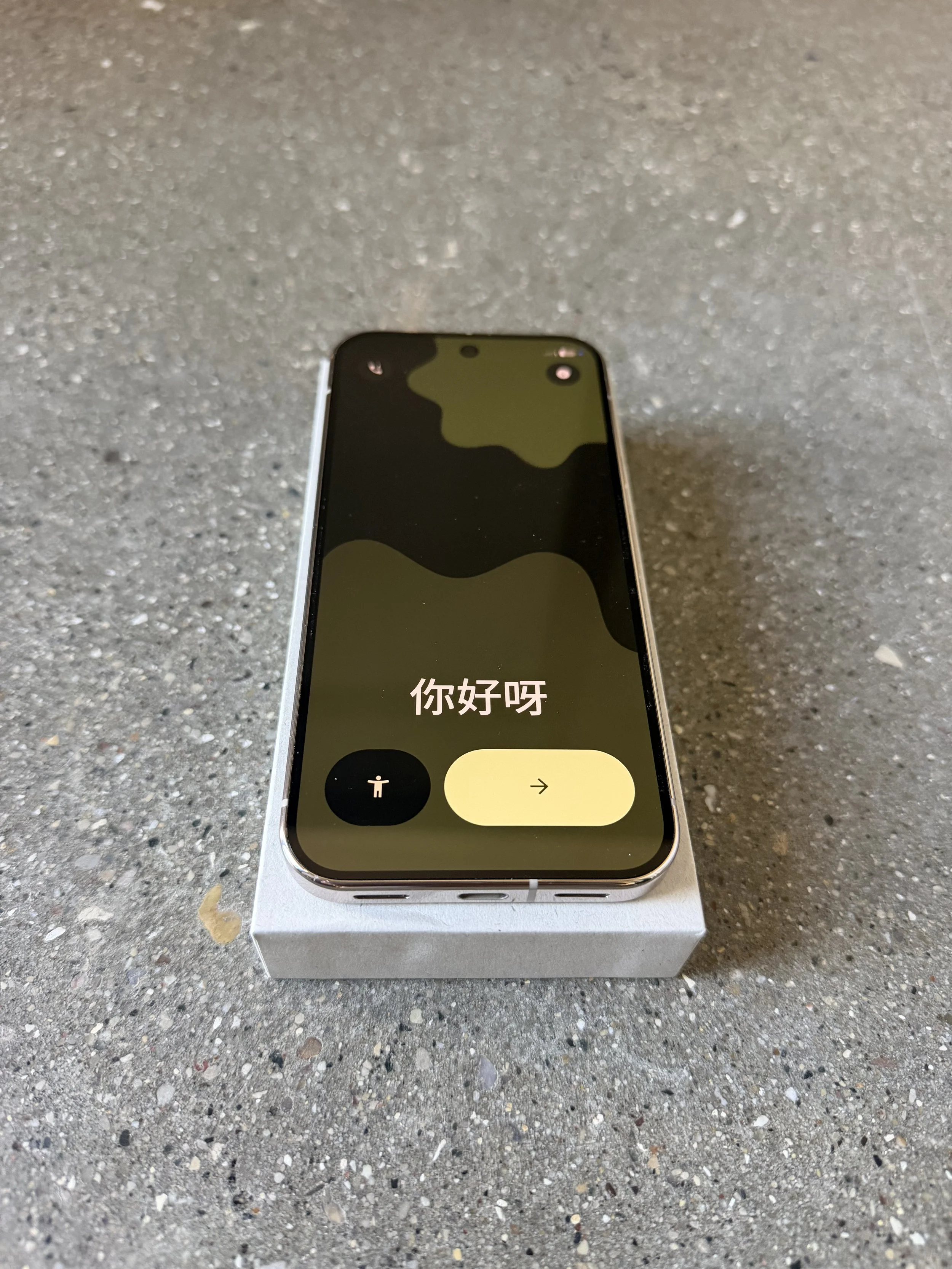 IMG_1036.jpeg
