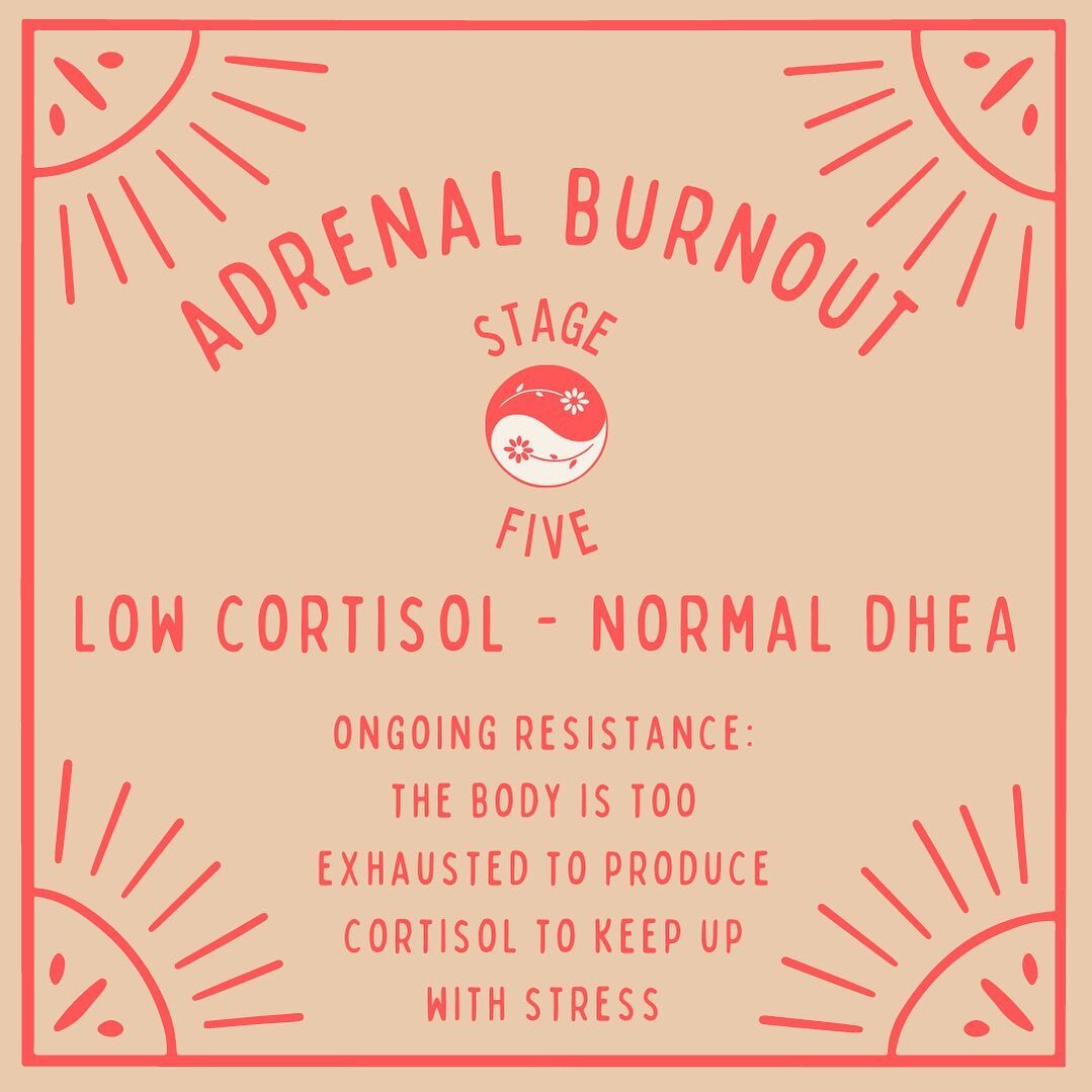 🚨 5th Stage of Adrenal Burnout : Ongoing Resistance 🚨 

Low Morning Cortisol (with normal evening cortisol) / Normal DHEA

In this stage, the body&rsquo;s reserves have been used up and isn&rsquo;t even really trying to combat stress with cortisol 