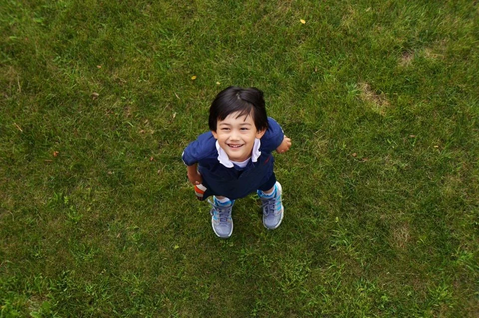 wyatt-lawn.JPG