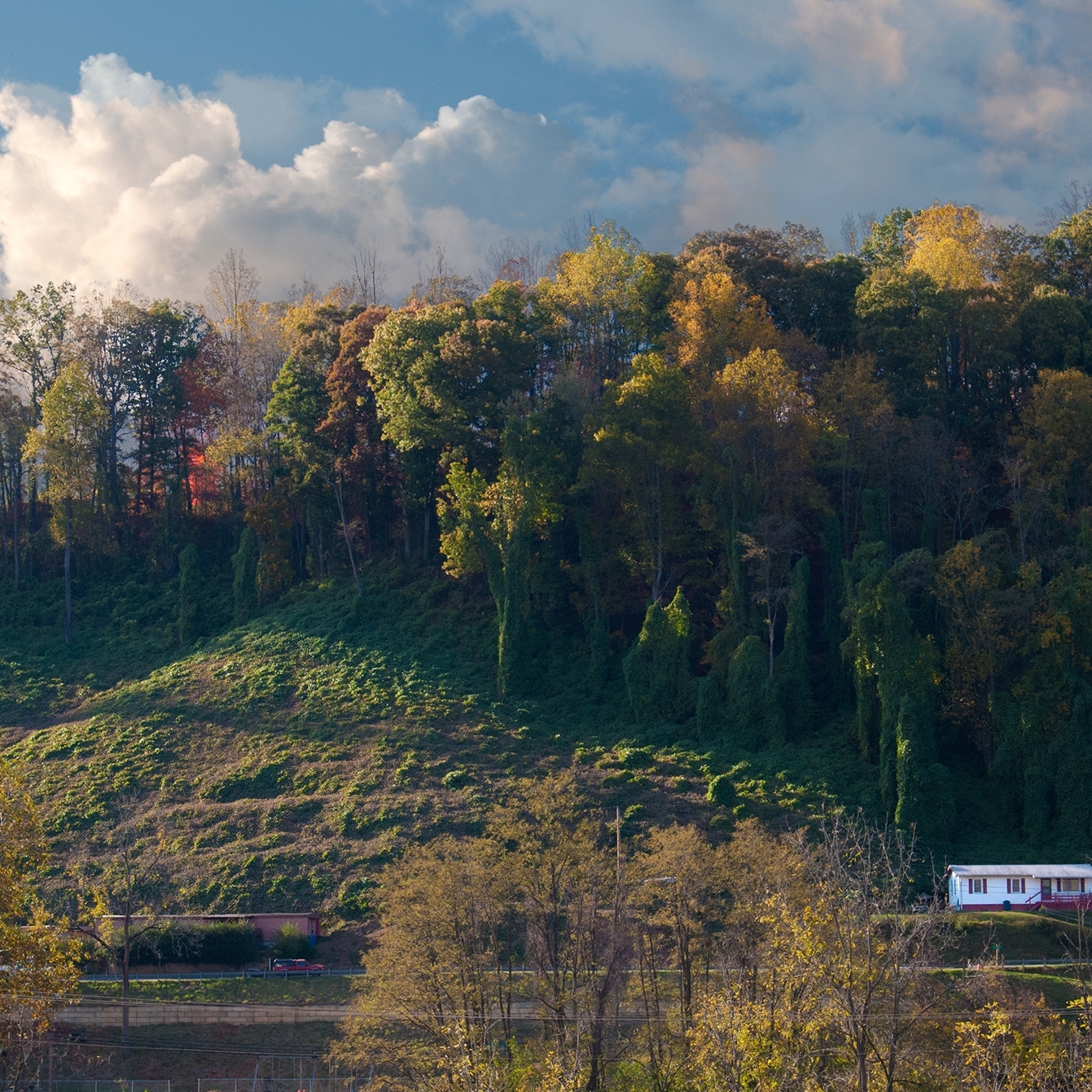 Susan Alta Martin: View from Skyland