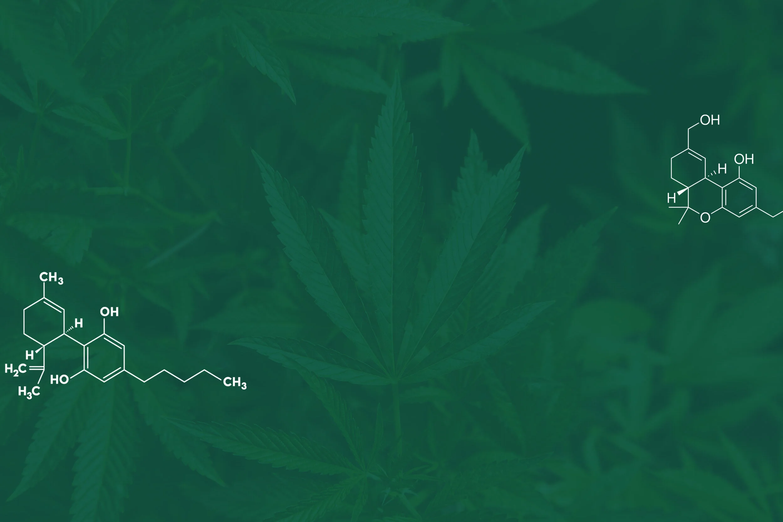 HigherTestingWeb.jpg