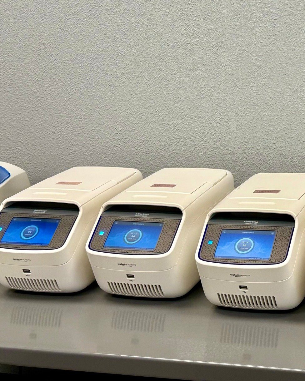 Potency Testing &ndash; Know Your Numbers 🔬
THC, CBD, CBG&mdash;how potent is your product? Higher Testing&rsquo;s advanced potency analysis ensures you know exact cannabinoid levels before hitting the market. Accurate, reliable, and fast!

📍 105 E