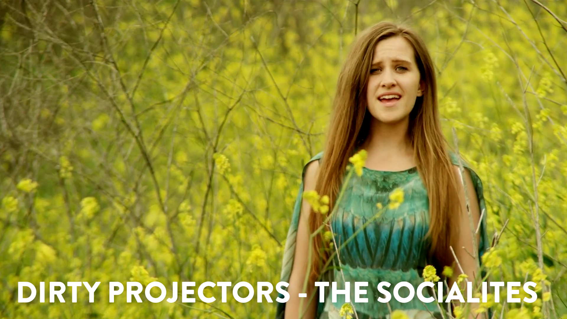 Dirty Projectors - The Socialites