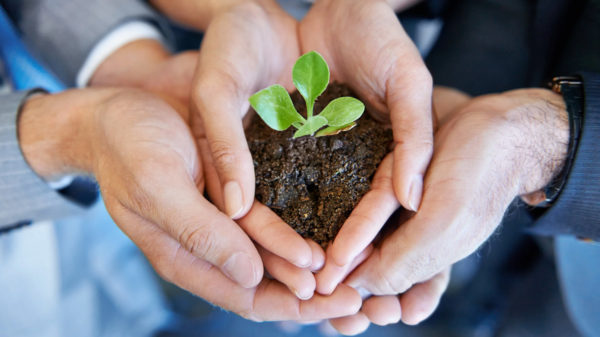 iStock-475449701.jpg