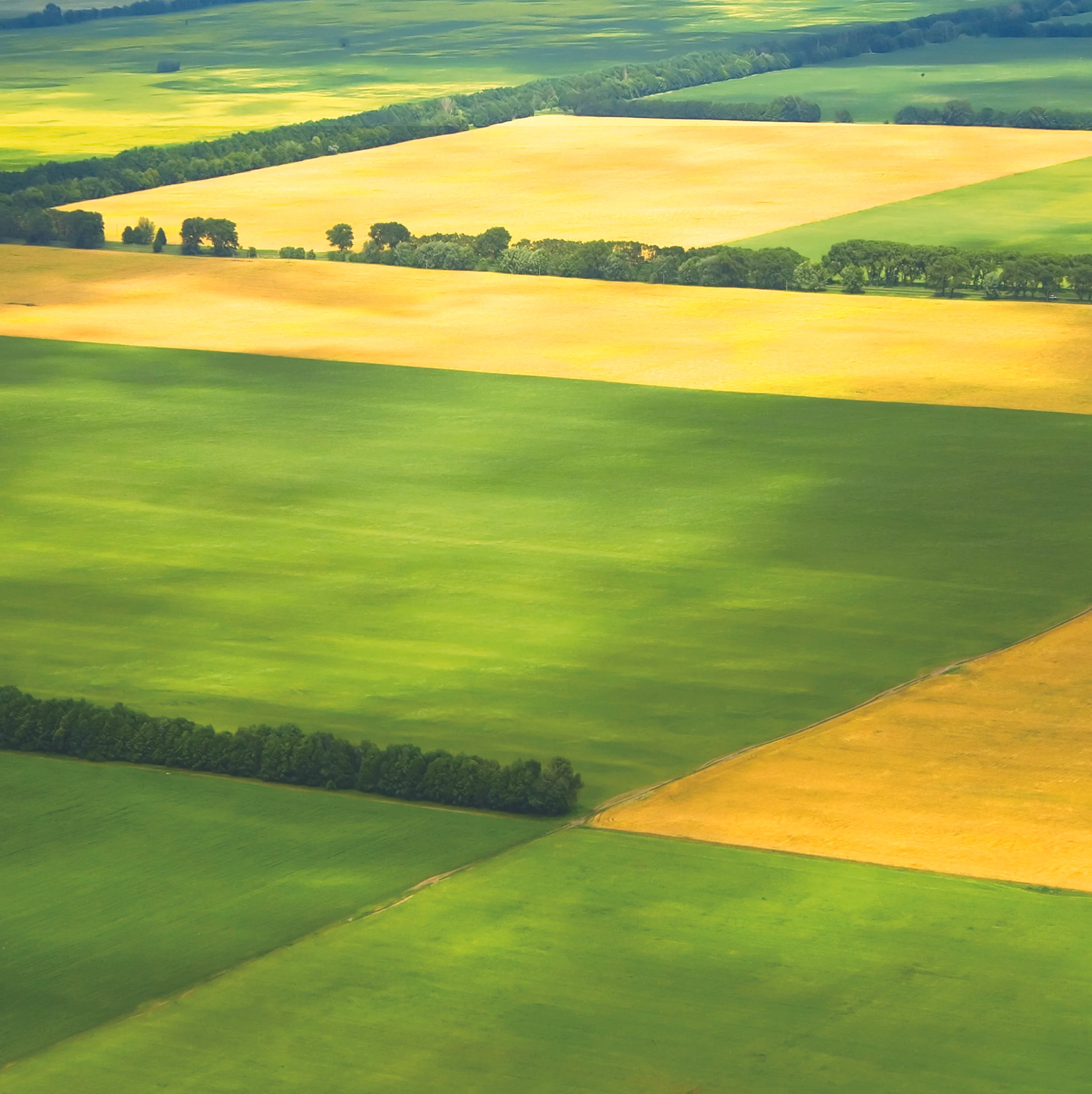 fields.jpg