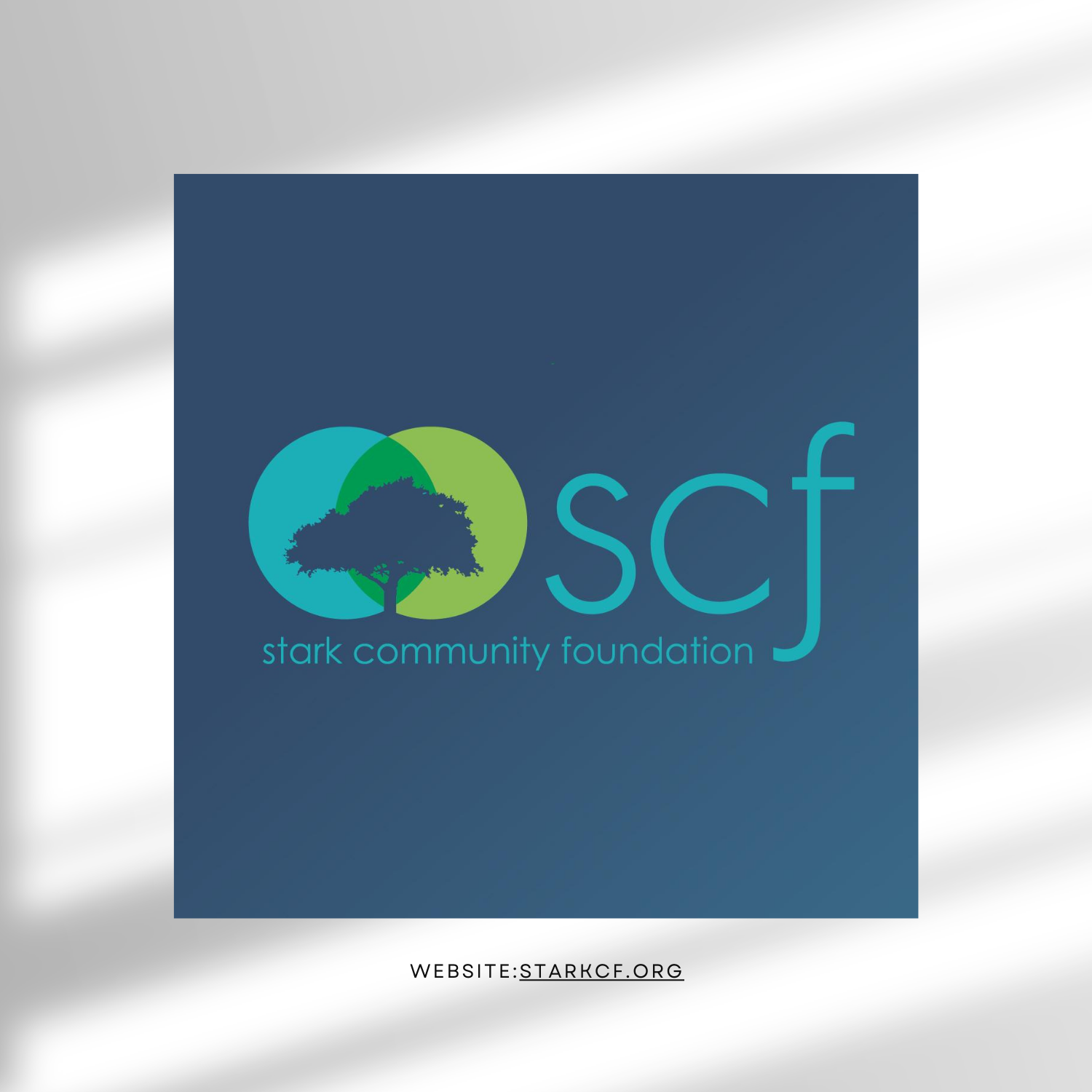 Stark Community Foundation — Community Data Hub