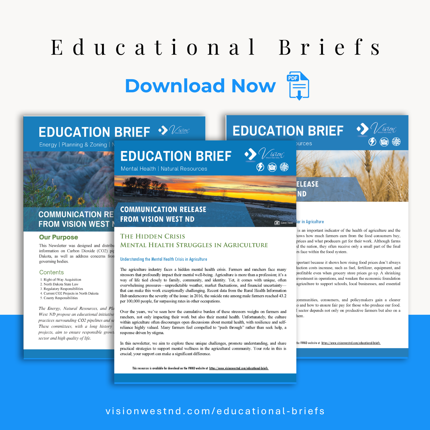 Education Brief Library: Tools for leaders building sustainable communities