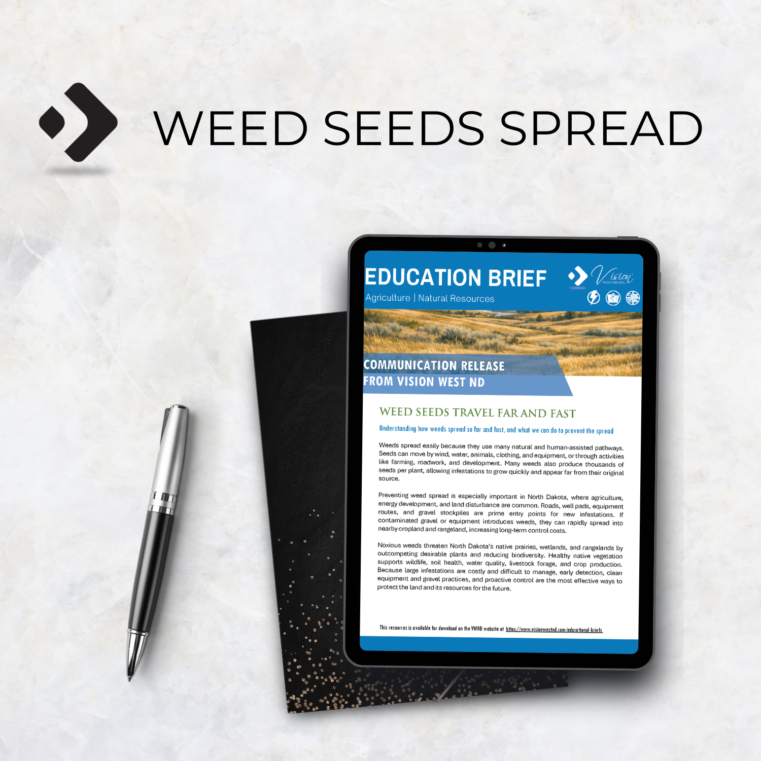 Education brief cover displayed on tablet screen