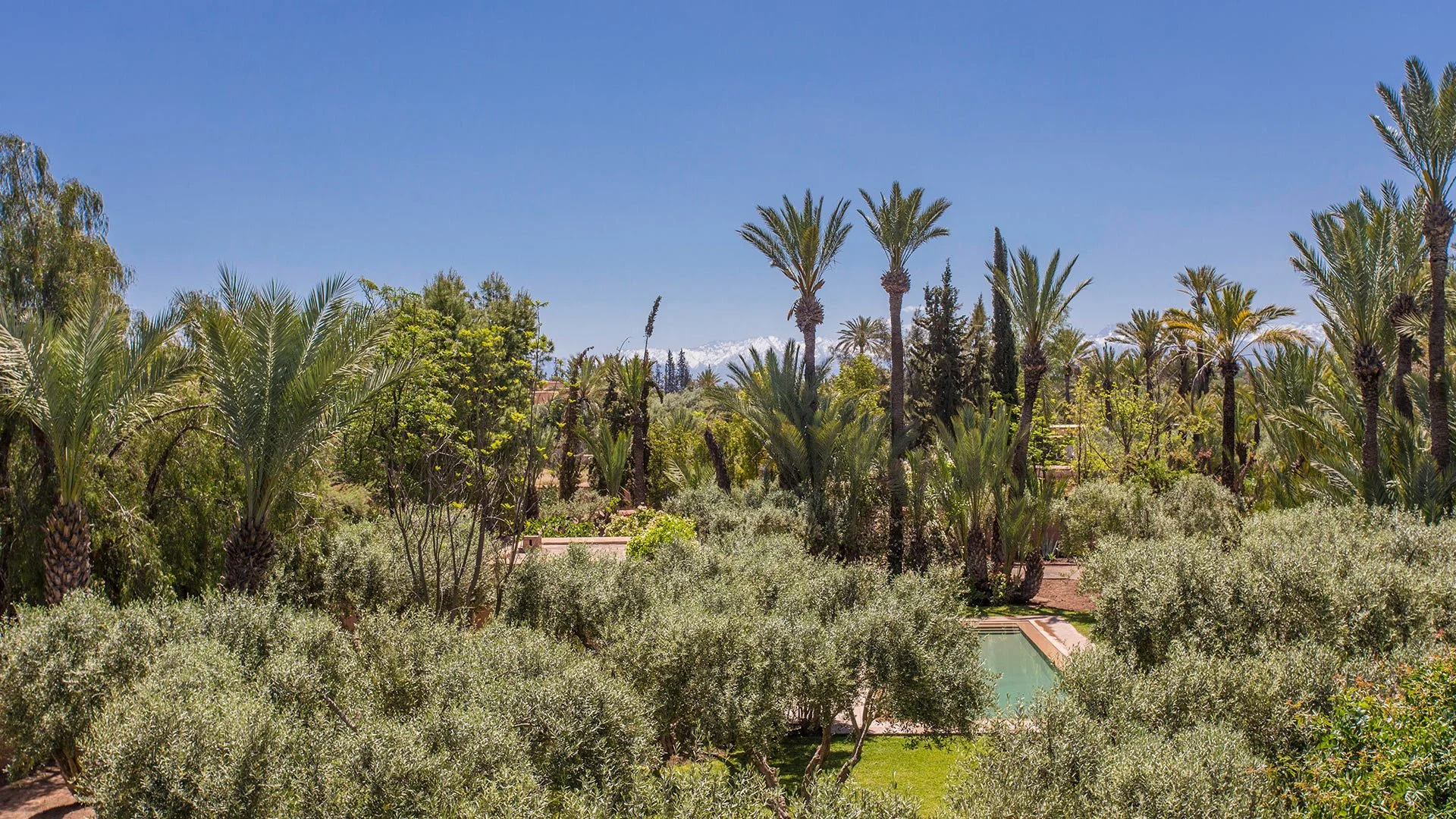 marrakech-villa-essaada-el-majal-2204415635addf52ac24857.18217241.1920.jpg