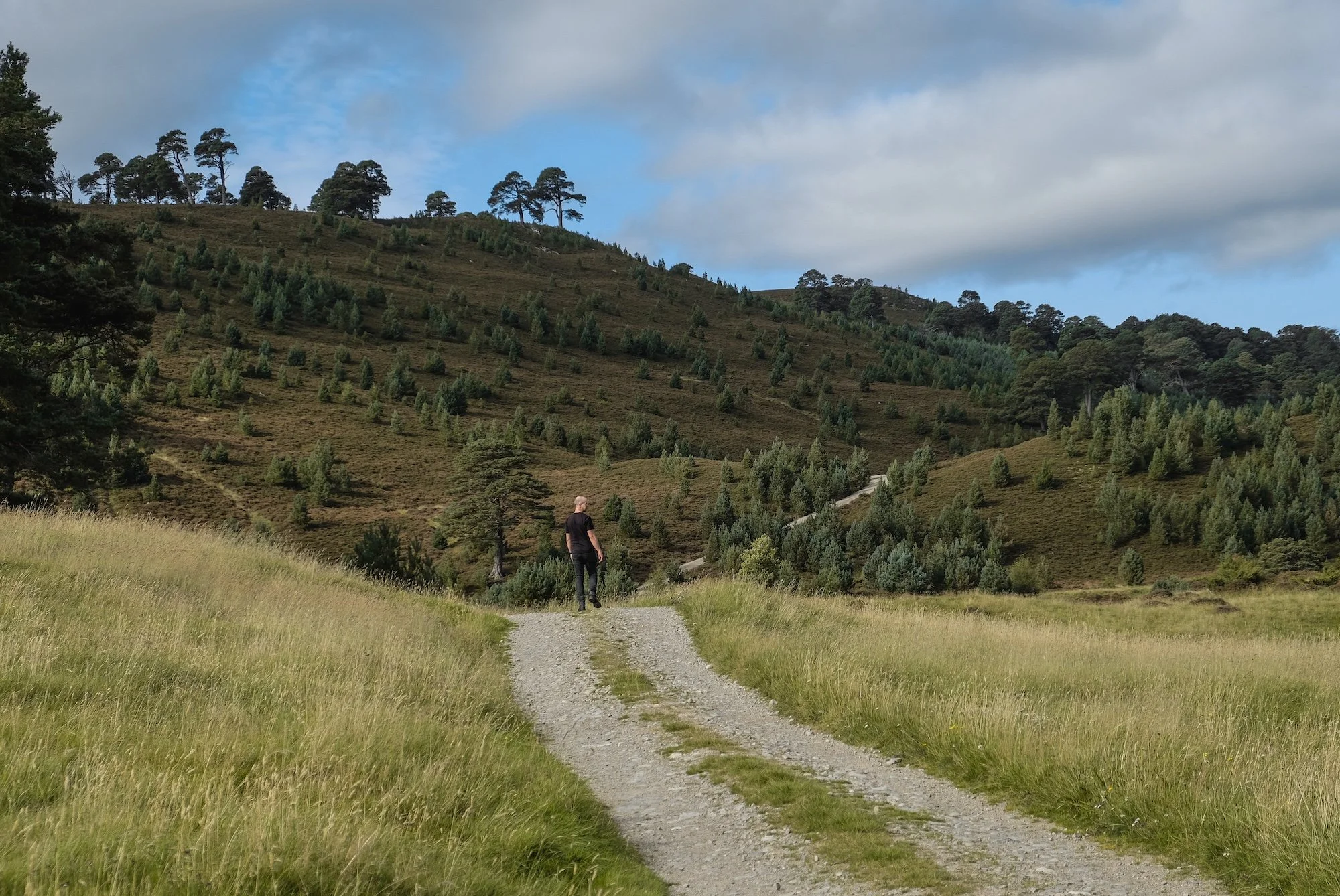 Nadine Malcolm Glenfeshie Walking Summer.jpg