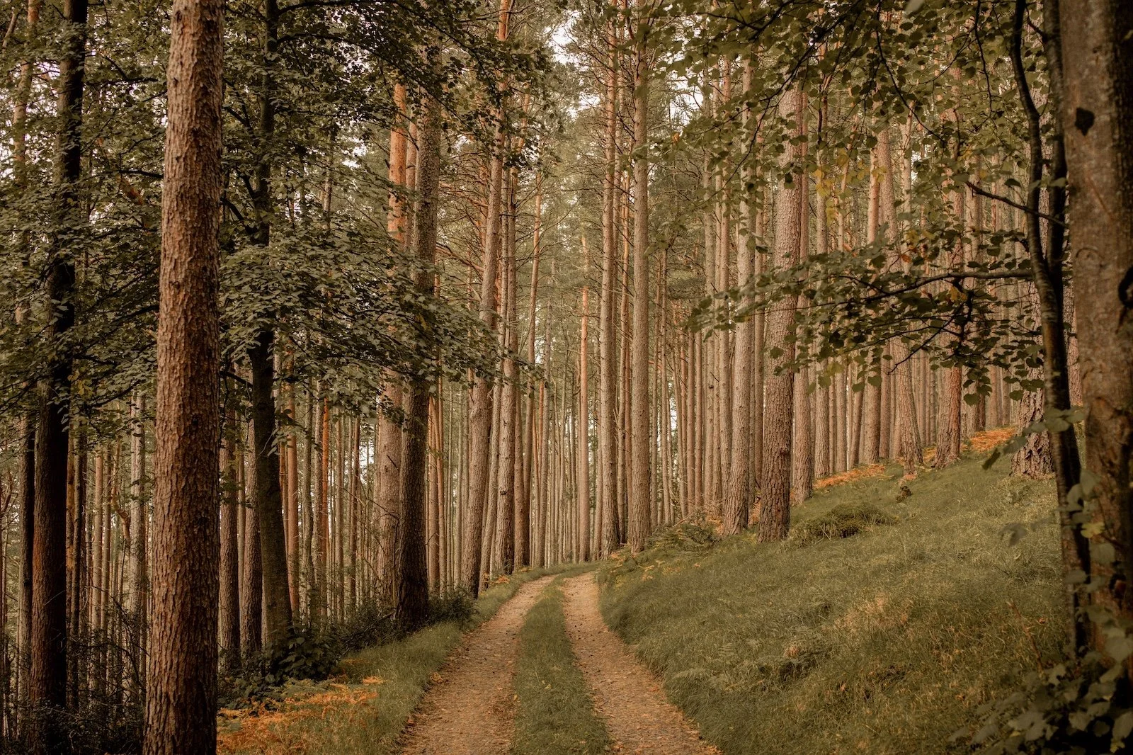 Kinloch x Fran Mart -10.jpg