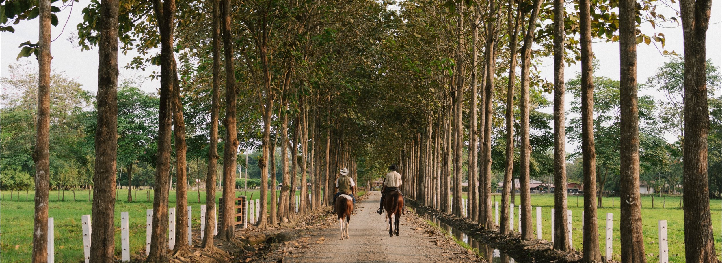 Banner Website-2.jpg