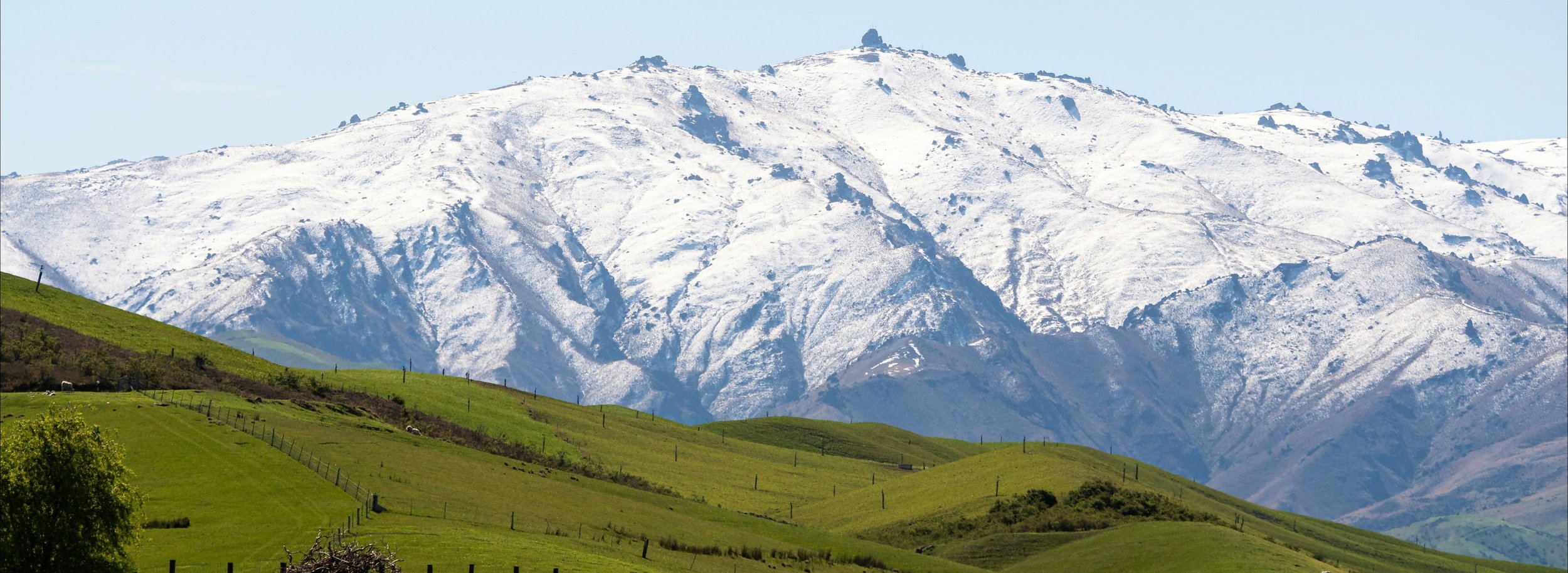 Copy of Banner Website.jpg