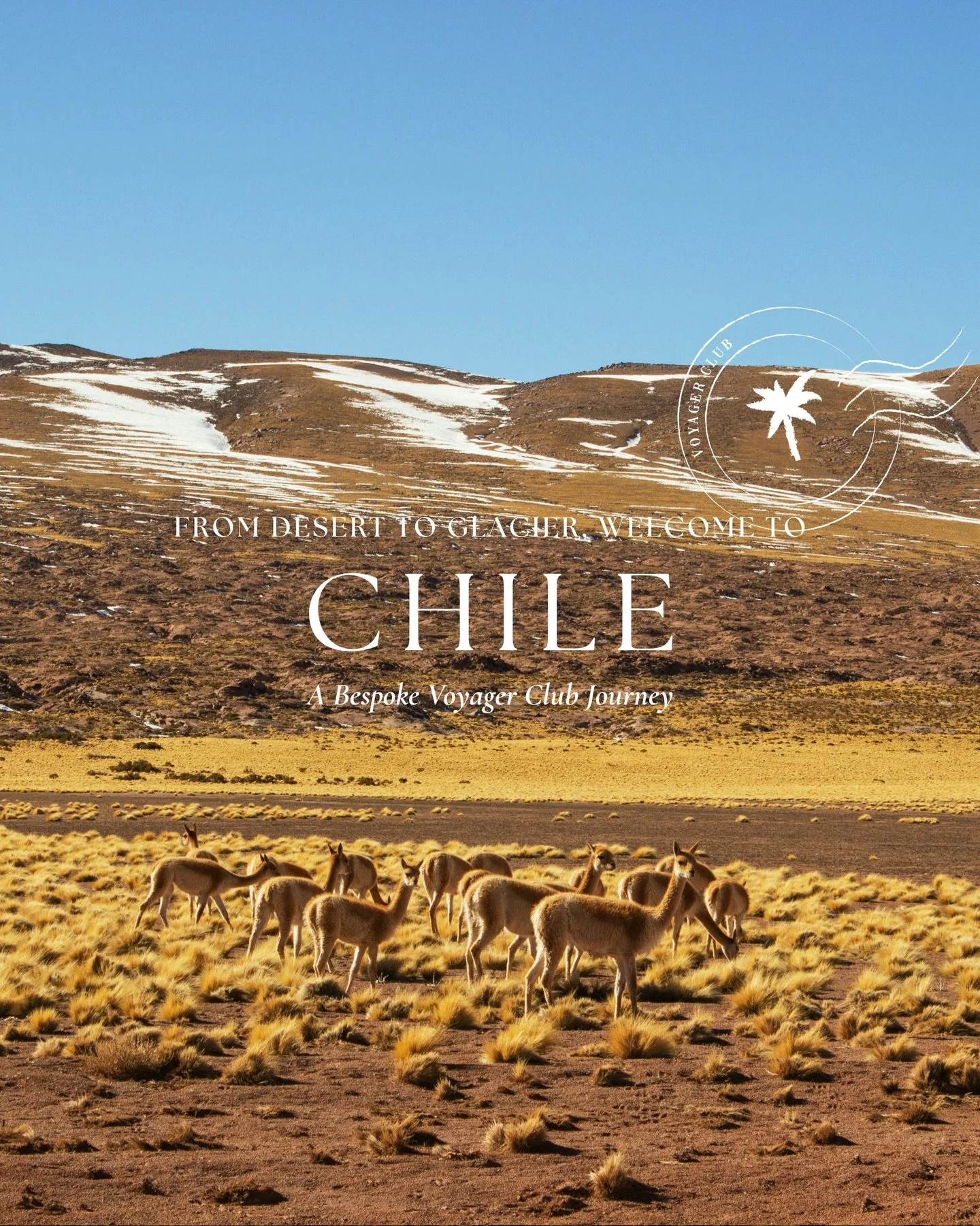 AN INVITATION TO DISCOVER CHILE, from the picturesque Atacama Desert to the majestic peaks of Patagonia, Chile&rsquo;s most iconic destinations offer unparalleled luxury and immersive experiences. Stay in exclusive villas in the Araucan&iacute;a regi