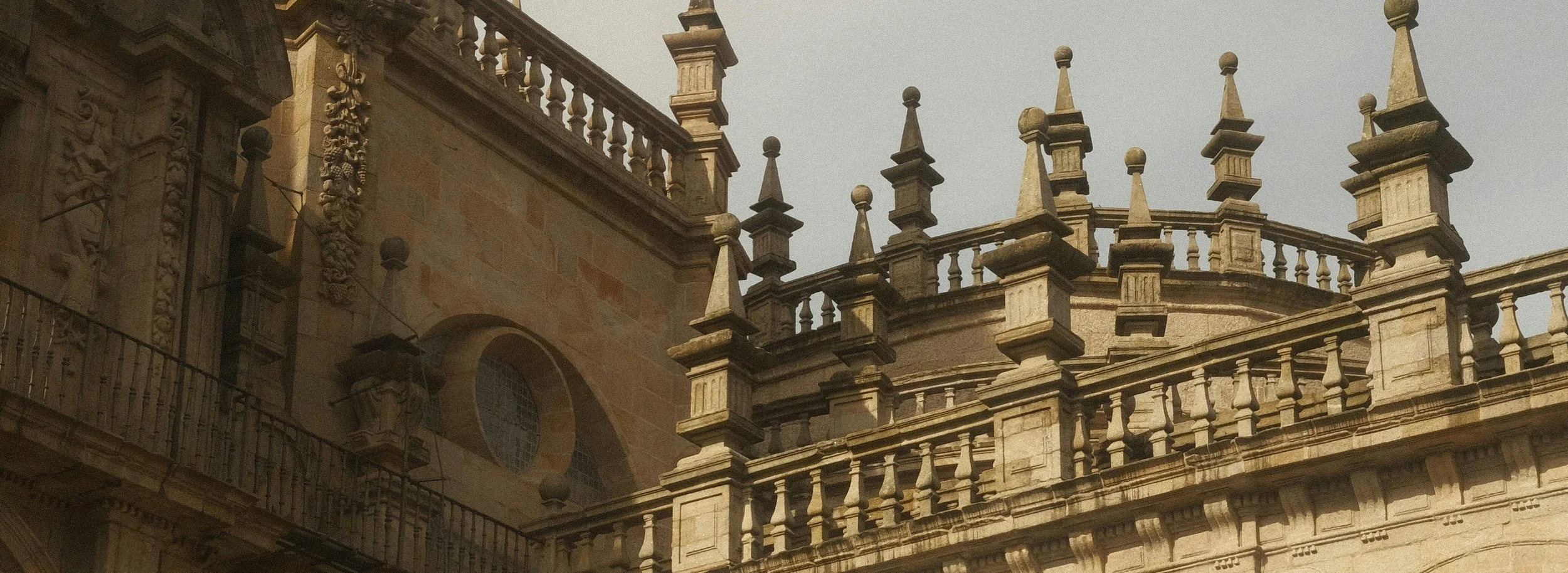 486.jpg