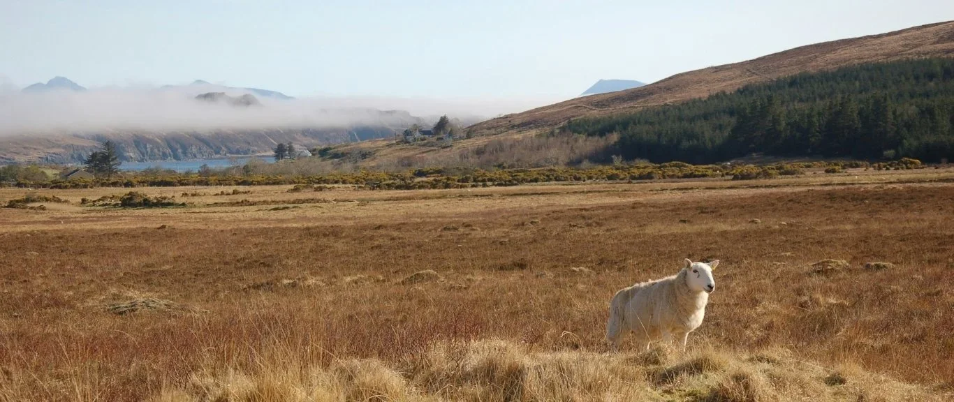 Travel to Scotland- Voyager Club - Discover Scotland with Voyager Club - Scotland Luxury Travel - Scotland Travel - Historic Castles Scotland