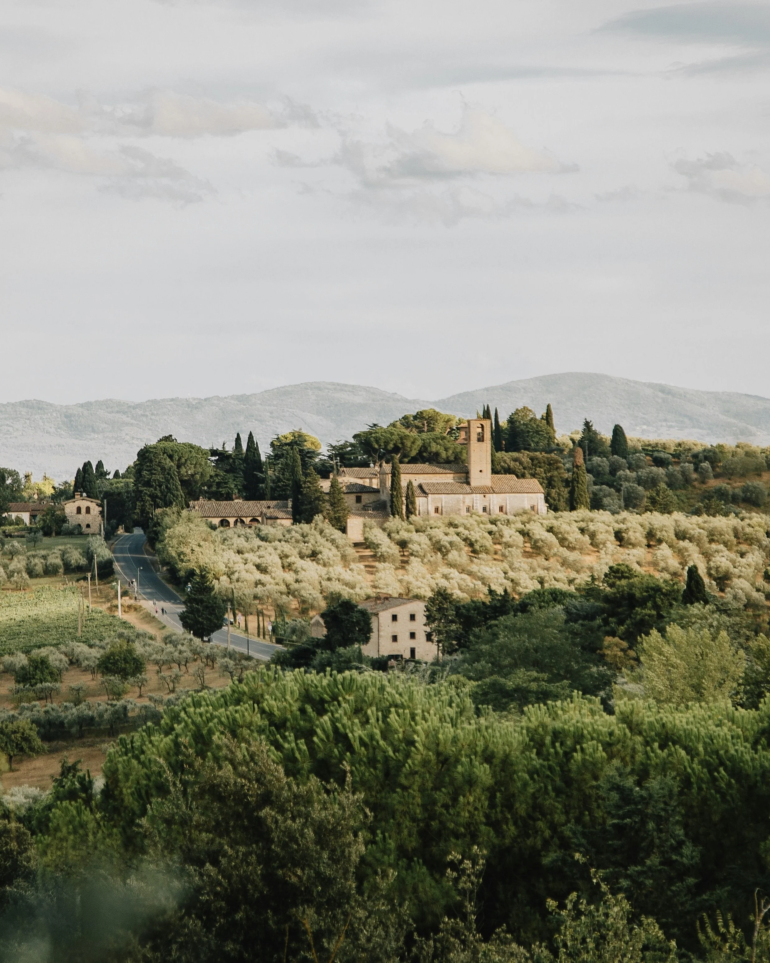 luxury villa tuscany, villa olive tuscany, private villa tuscany, tuscany luxury villa rental, tuscany villa with pool, voyager club