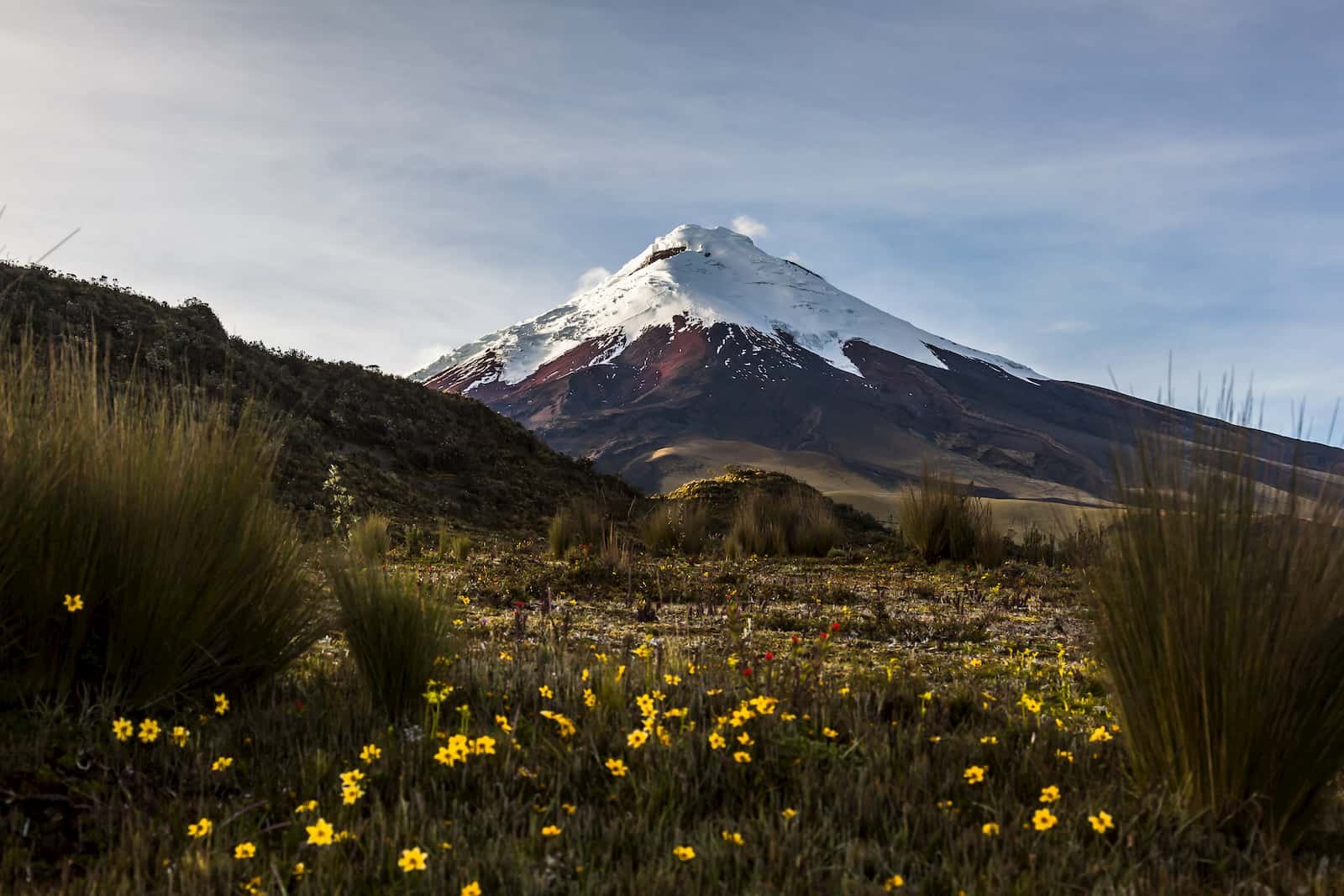 Travel to Ecuador - Voyager Club - Discover Ecuador with Voyager Club - Ecuador Luxury Travel - Ecuador Travel  - Bespoke Travel - Galapagos Islands - Galapagos Yacht