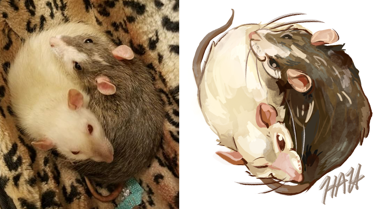 Rat Yin and Yang Commission