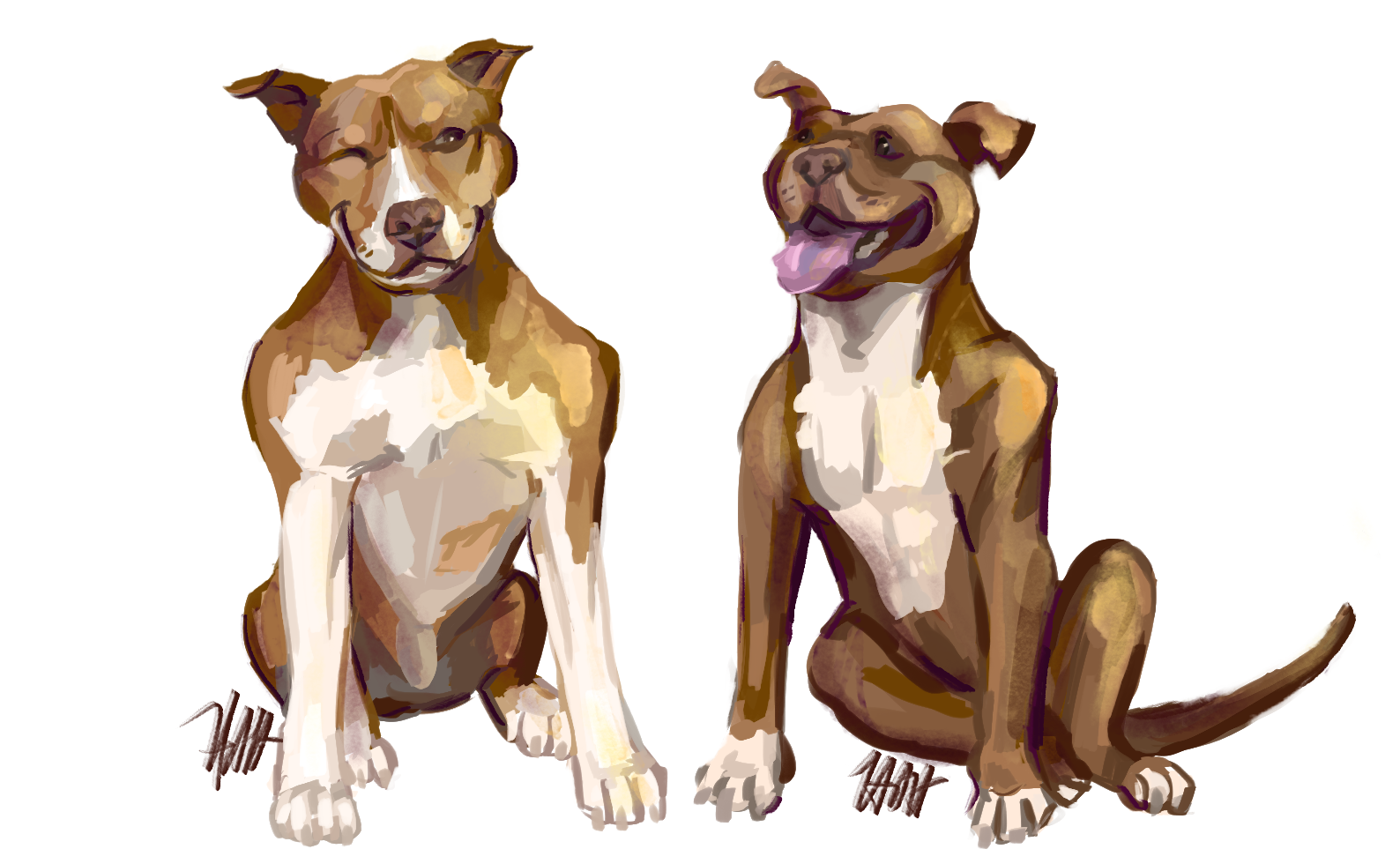 Pit Bulls Cane and Mona Commission
