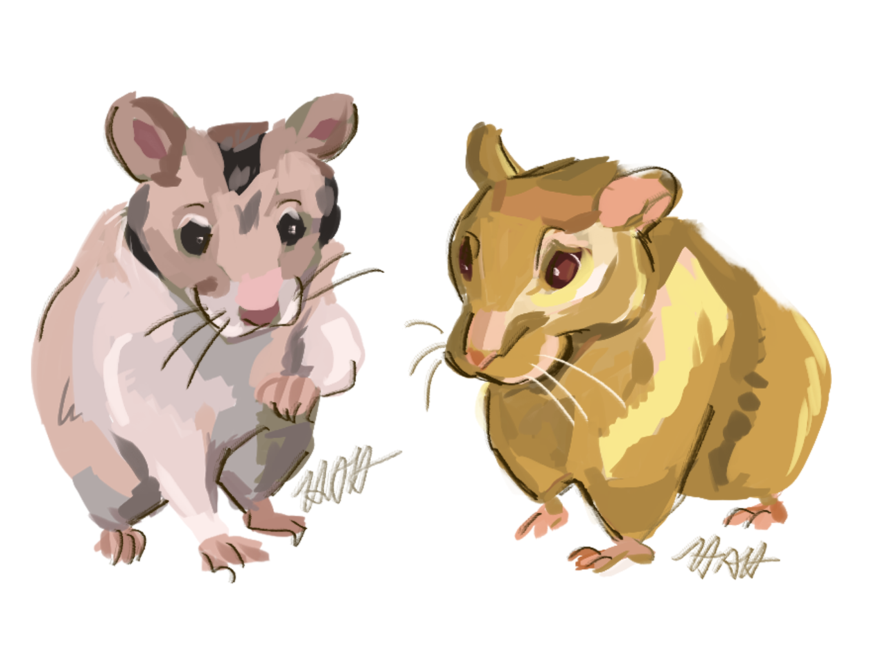 Hamsters commission