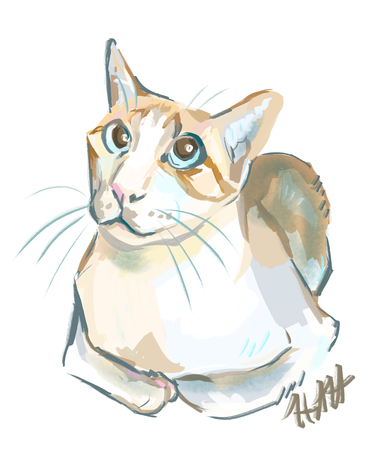 Sammy Cat Commission